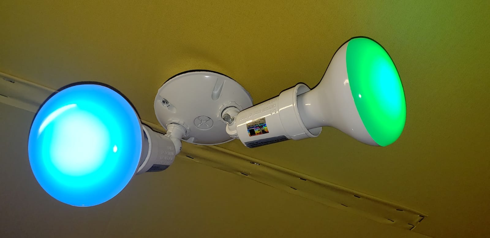 Feit Electric BR30 Smart Flood Light Bulb, 2.4GHz WiFi Color Changing and Dimmable, No Hub, Works with Alexa or Google Assistant, BR30/RGBW/CA/AG, 65W, Multi-Color (RGBW), 1 Count customer photo 1