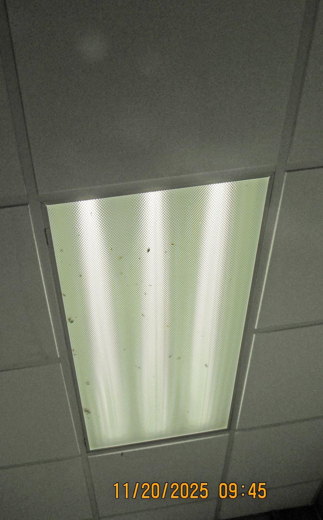 2x4 LED Flat Panel Light 4 Pack, 7800LM Drop Ceiling Fixture ETL, 0-10V Dimmable, 5000K LED Drop Ceiling Office Fixture LED Recessed Edge-Lit Fixture for Office Commercial Classroom Gym customer photo 1