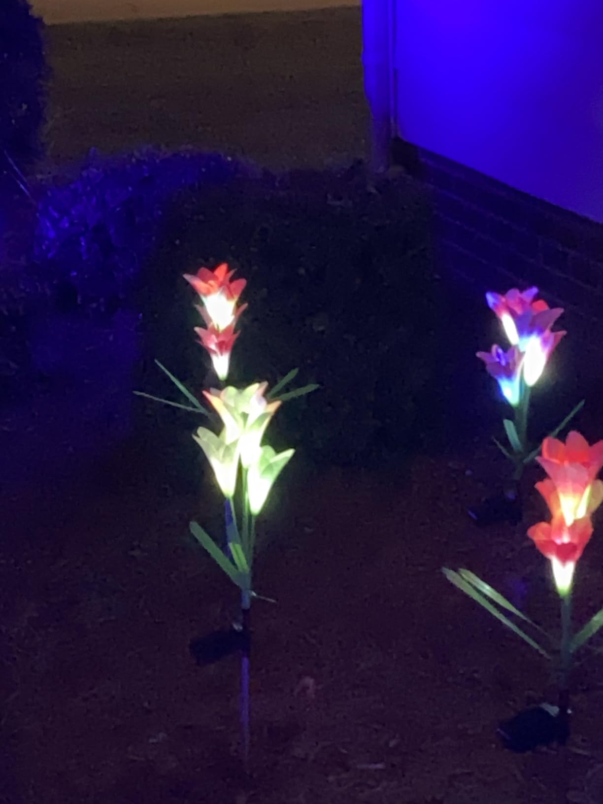 KOOPER Outdoor Solar Lights, 4 Pack Solar Garden Light with Bigger Lily Flowers, Waterproof 7 Color Changing Solar Lights Outdoor - Bigger Panel for Patio Yard Garden Decoration, Gift for Mom customer photo 1