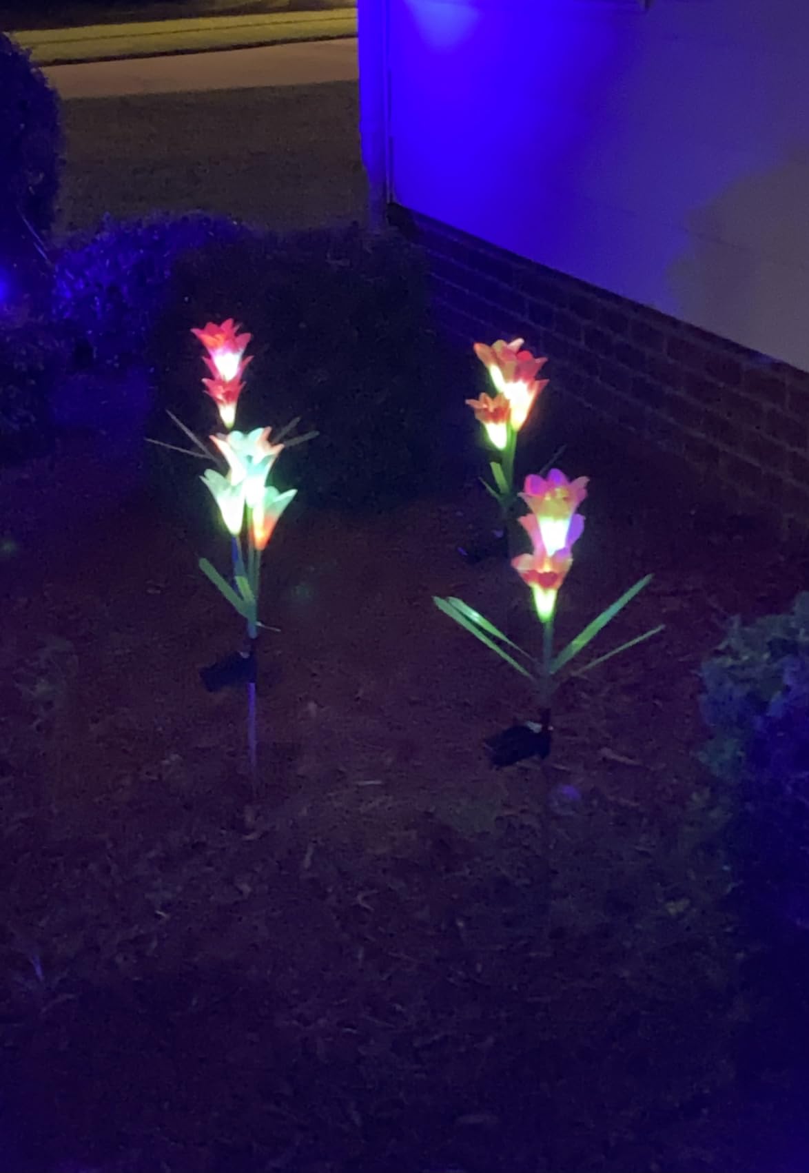 KOOPER Outdoor Solar Lights, 4 Pack Solar Garden Light with Bigger Lily Flowers, Waterproof 7 Color Changing Solar Lights Outdoor - Bigger Panel for Patio Yard Garden Decoration, Gift for Mom customer photo 2
