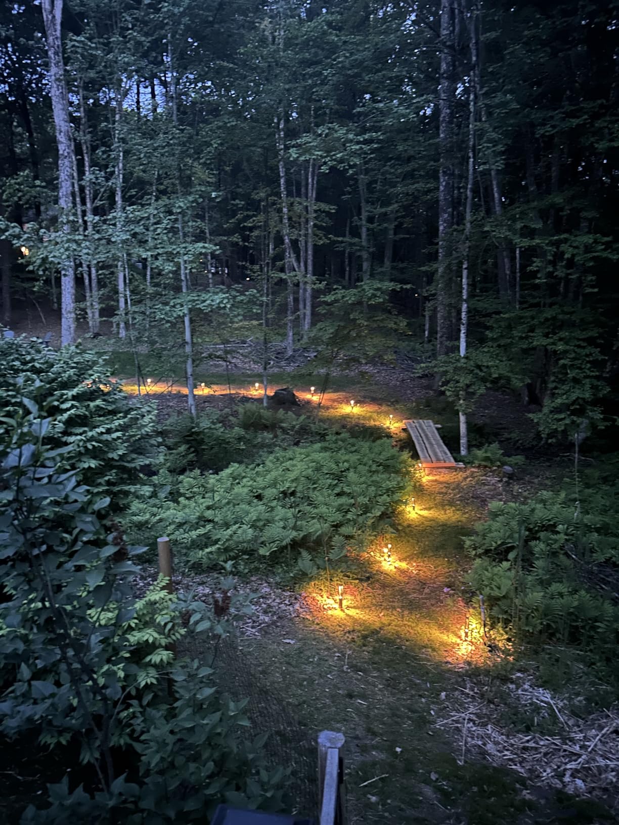 LEONLITE 12-Pack 3W LED Low Voltage Path Lights Aluminum 3000K Black, Landscape Pathway Lights, Outdoor Landscape Lighting for Driveway, Garden, 12-24V AC/DC, ETL, IP65 Waterproof, Warm White customer photo 2