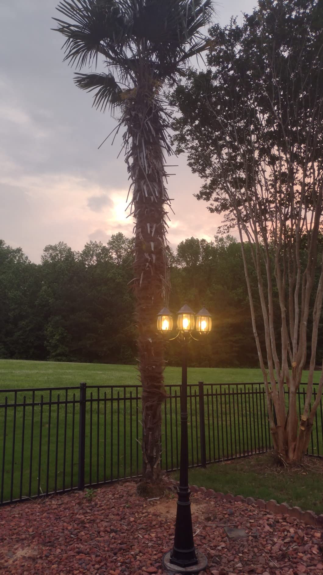 PARTPHONER Outdoor Lamp Post Light 3-Head, Classic Black with Clear Glass Panels, E26 Base Maximum 100W (3 LED Bulbs Included), Waterproof Street Light for Backyard, Garden, Driveway customer photo 2