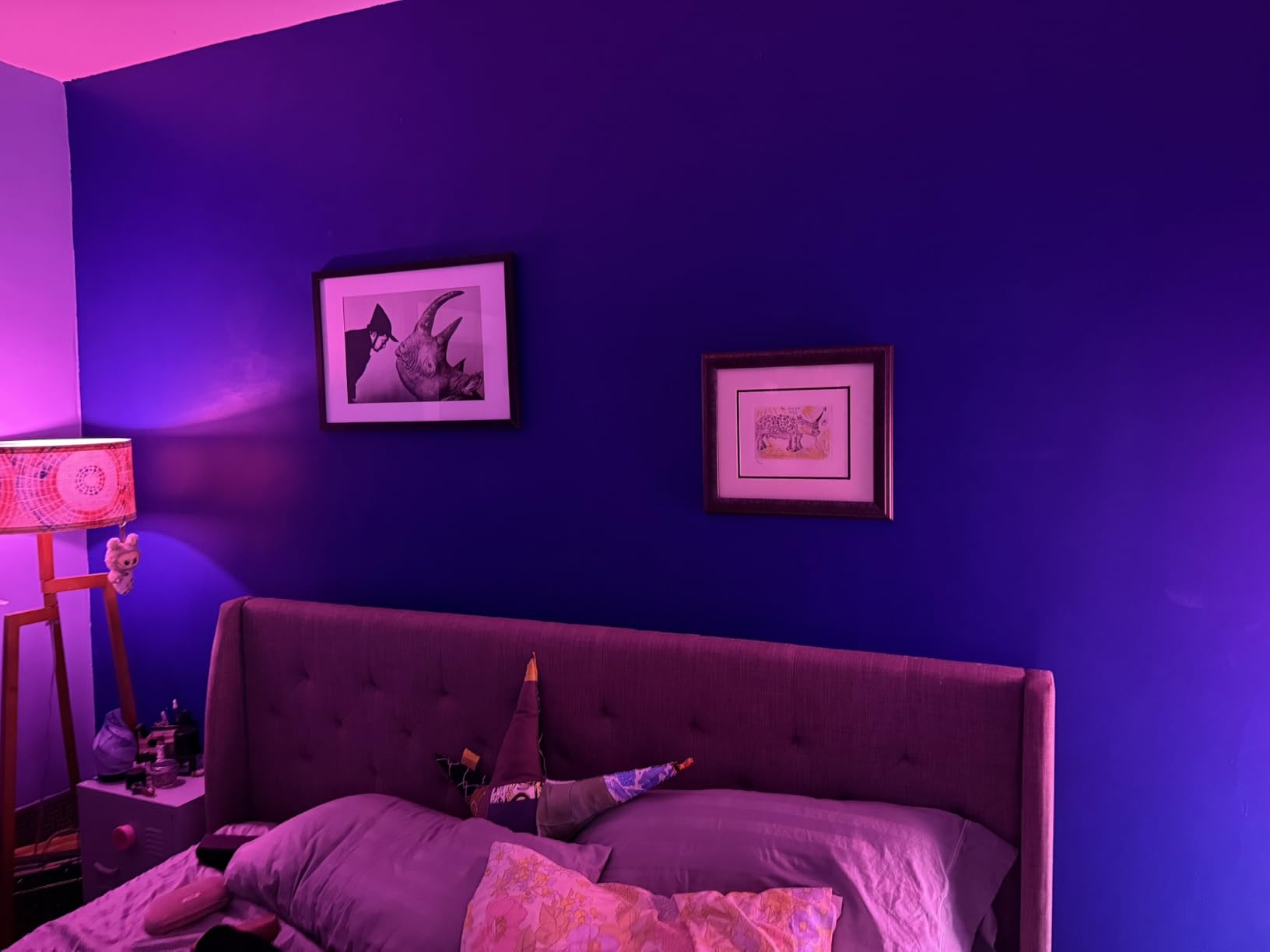 Philips Hue A19 LED Smart Light Bulb 3-Pack - White and Color Ambiance - 60W Indoor Light Bulb - Control with Hue App - Works with Alexa, Google Assistant and Apple Homekit customer photo 2