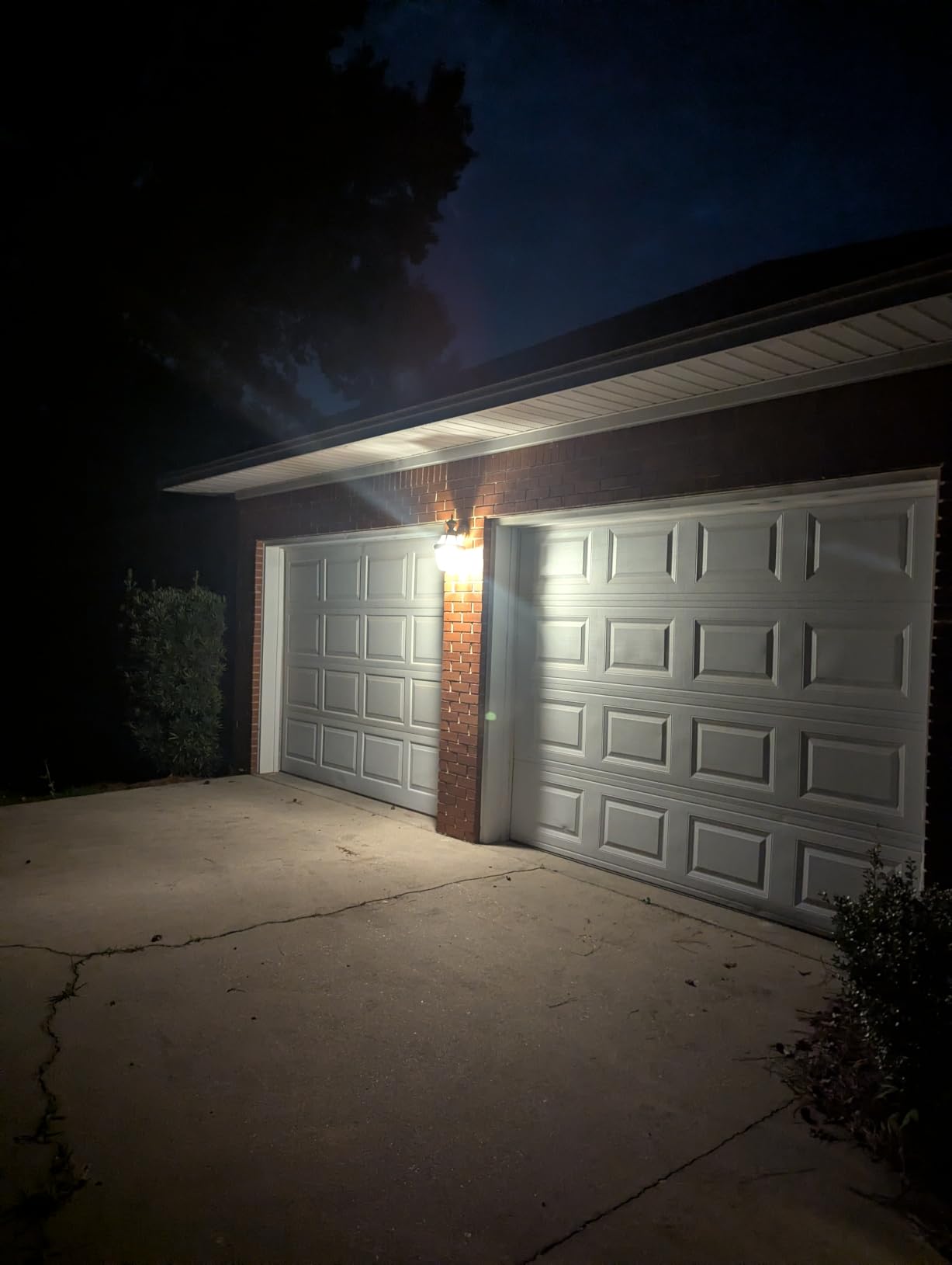 GE LED+ A19 Dusk to Dawn LED Light Bulbs, Automatic On/Off Outdoor Security Light, Soft White (2 Pack) customer photo 1