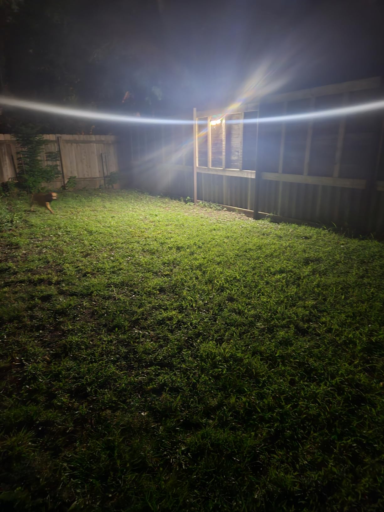 LEPOWER 1500LM Battery Powered Outdoor LED Flood Light with Motion Sensor | IP65 Waterproof, Wireless Battery Operated Security Lights, 3 Head Motion Detector Light for Garage, Yard, Porch, Driveway - Black customer photo 1