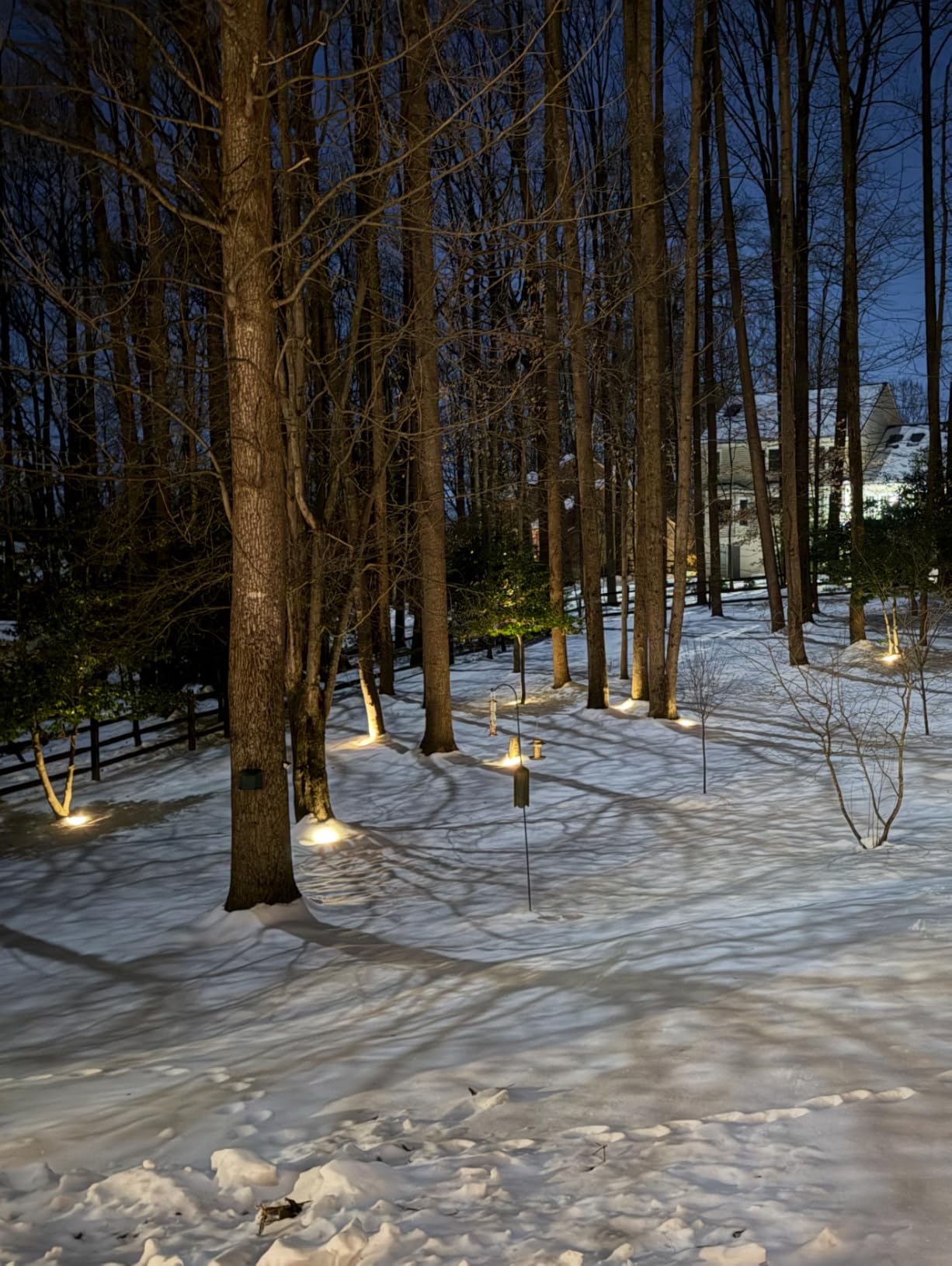 SUNVIE 12W Low Voltage Landscape Lighting with Connectors 1200LM Ultra Bright Well Lights Landscape LED In Ground Waterproof Outdoor Warm White Paver Lights for Garden Yard Driveway 12 Pack customer photo 2