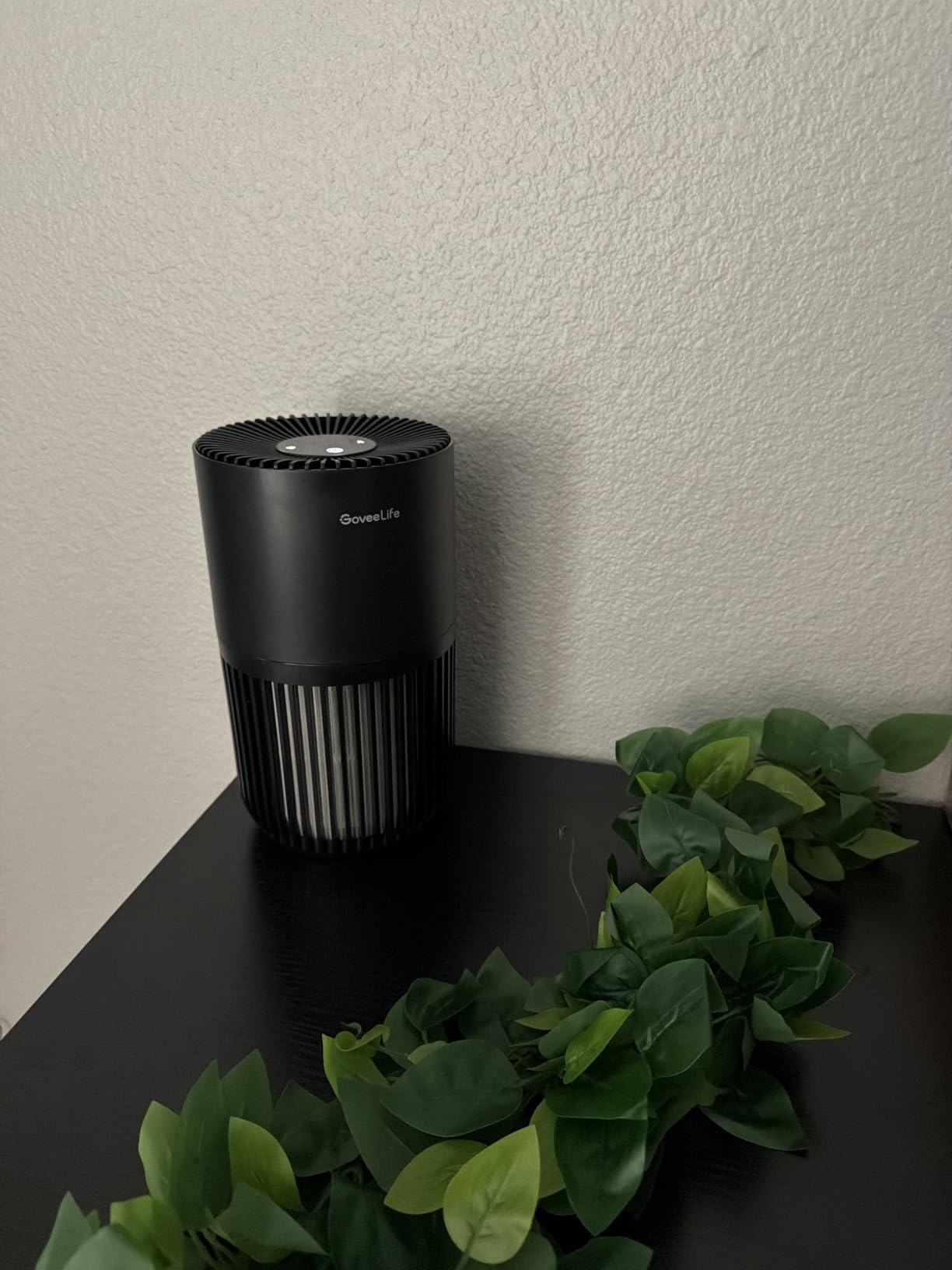 GoveeLife Smart Mini Air Purifier for Bedroom, with App & Alexa Control customer photo 1