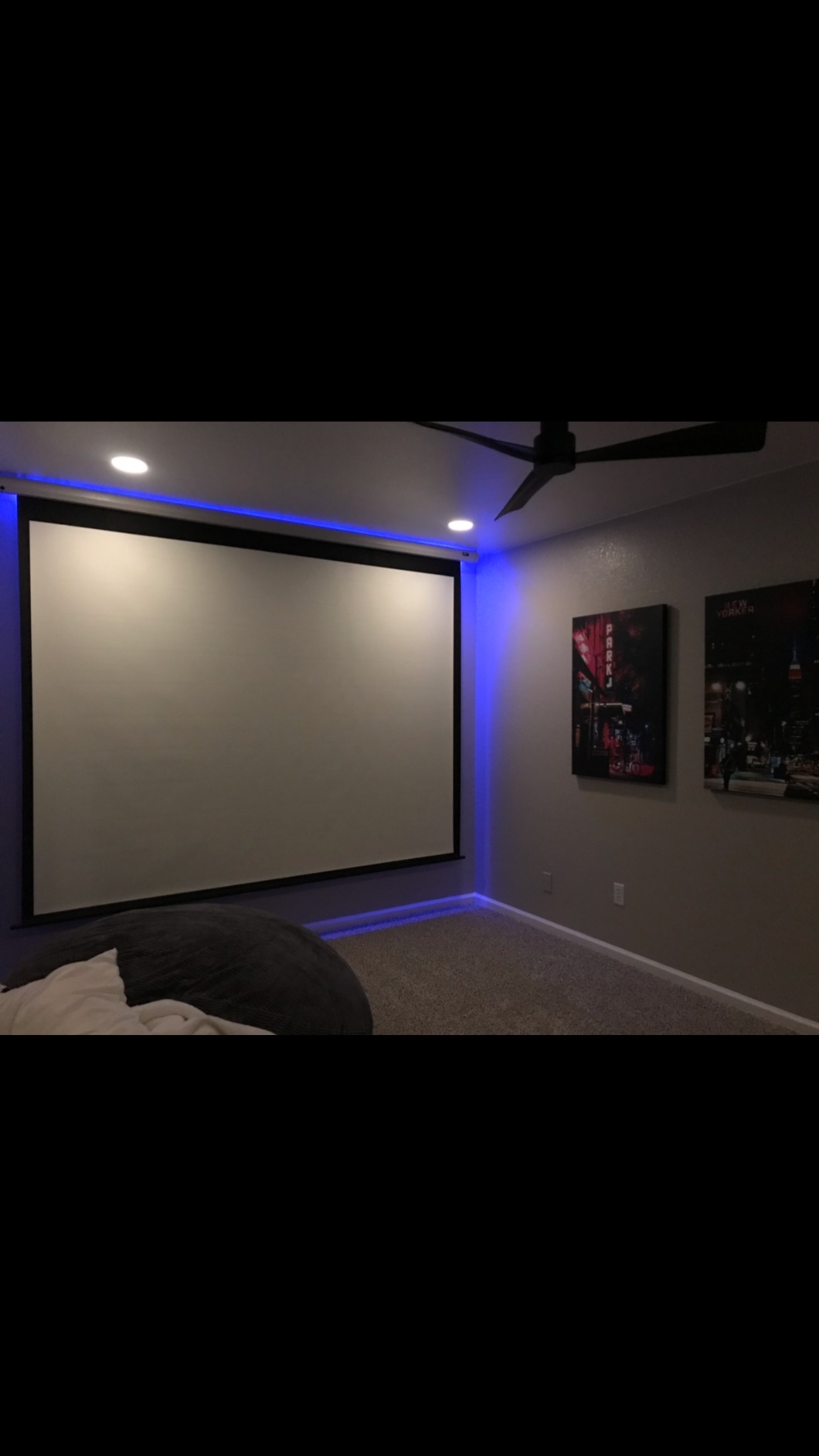 Projector Screen Elite Screens Spectrum, 150-INCH Diag 16:9, Motorized Projection Screen Movie Home Theater 4K/8K Ultra HD Ready, Black Case, ELECTRIC150H2 customer photo 1