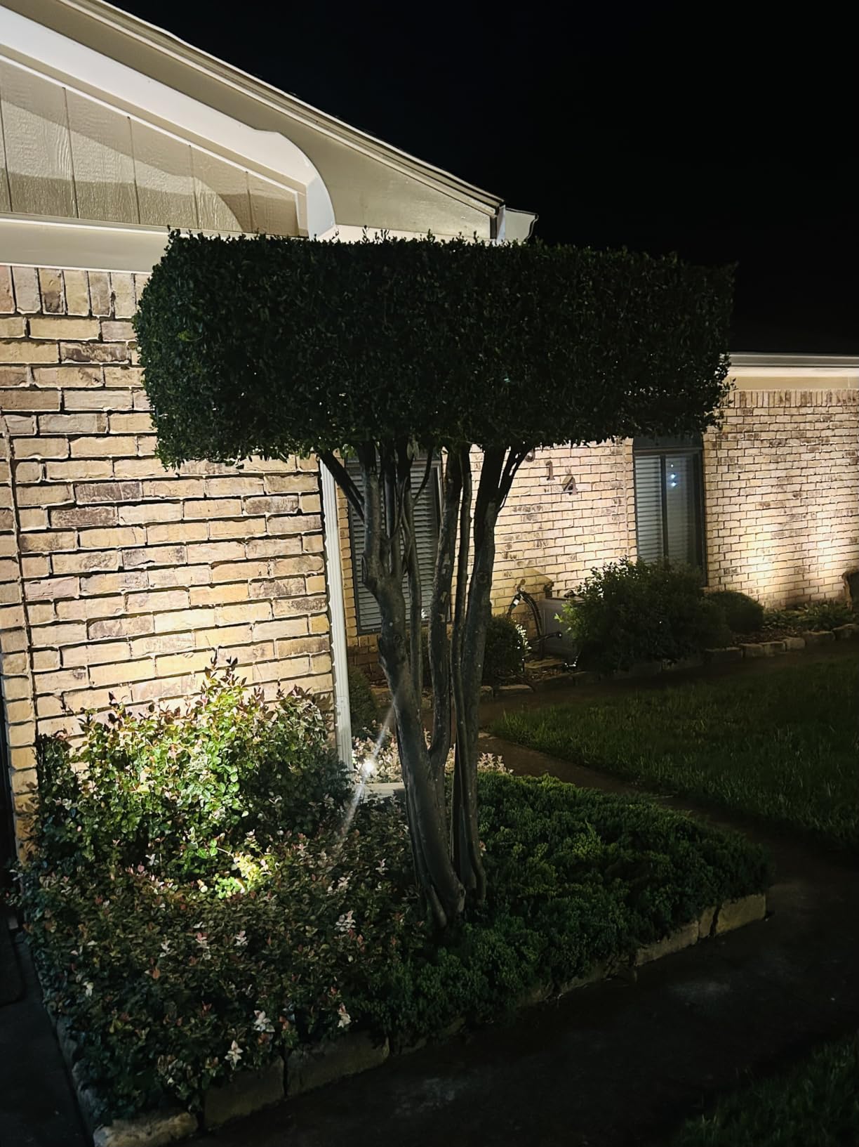 SUNVIE All-In-One LED Landscape Lighting Kit, 8-Pack Low Voltage Landscape Lights with Transformer and 65FT UL-Listed Wire, 3000K Waterproof Outdoor Uplights with Connectors for Yard House Garden Tree customer photo 1