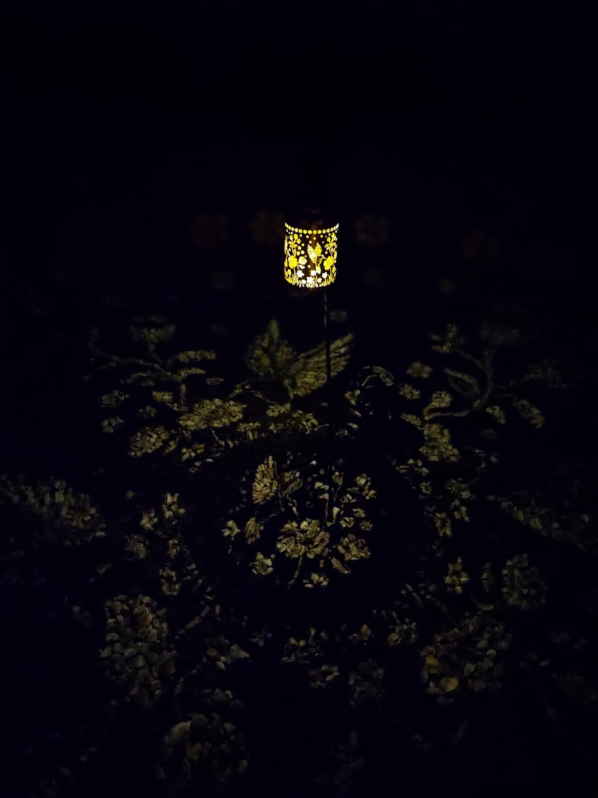 Solar Lanterns Outdoor Waterproof Hummingbird Garden Decor Gifts for Women Mom Grandma Hanging Solar Lights Metal Solar Decoration Outside for Yard, Patio, Backyard, Porch | Hanging Solar Lights Gifts for Mom Grandma Metal Solar Decoration Outside for Yard, Patio, Backyard, Porch customer photo 1