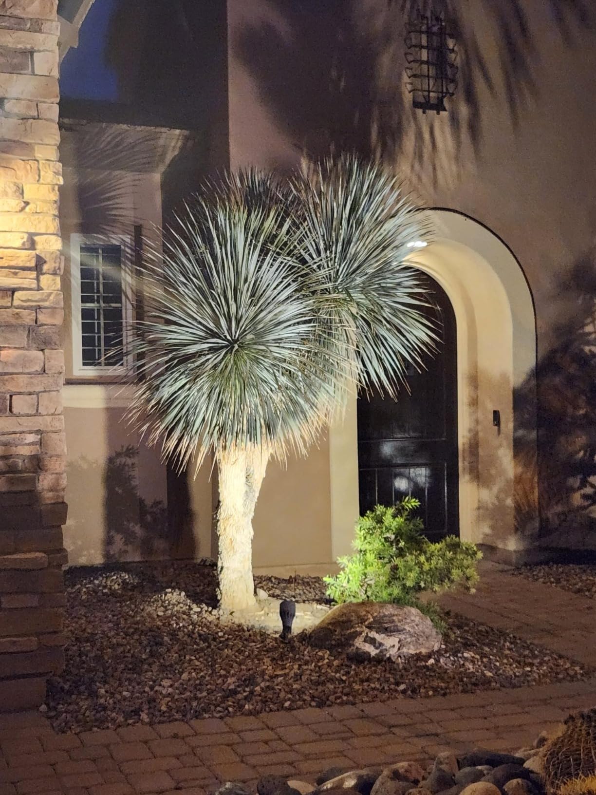 LED Outdoor In-Ground Well Lights, 12V Low Voltage Wired Landscape Lighting for Path & Driveway, IP67 Waterproof, Anti-Glare Aluminum ORB (4-Pack, Color Temp Random: 3000K or 5CCT Upgrade) customer photo 1
