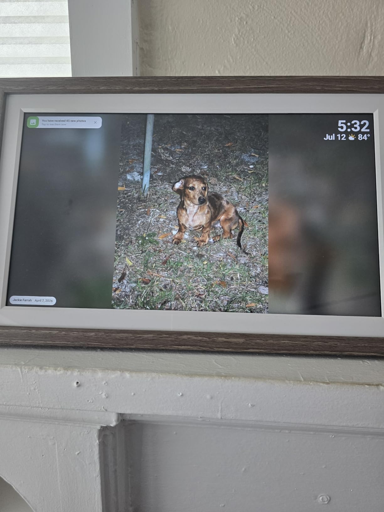 Digital Picture Frame, Frameo 15.6 Inch Large Digital Photo Frame WiFi, 1920x1080 IPS FHD Touch Screen, 32GB customer photo 1