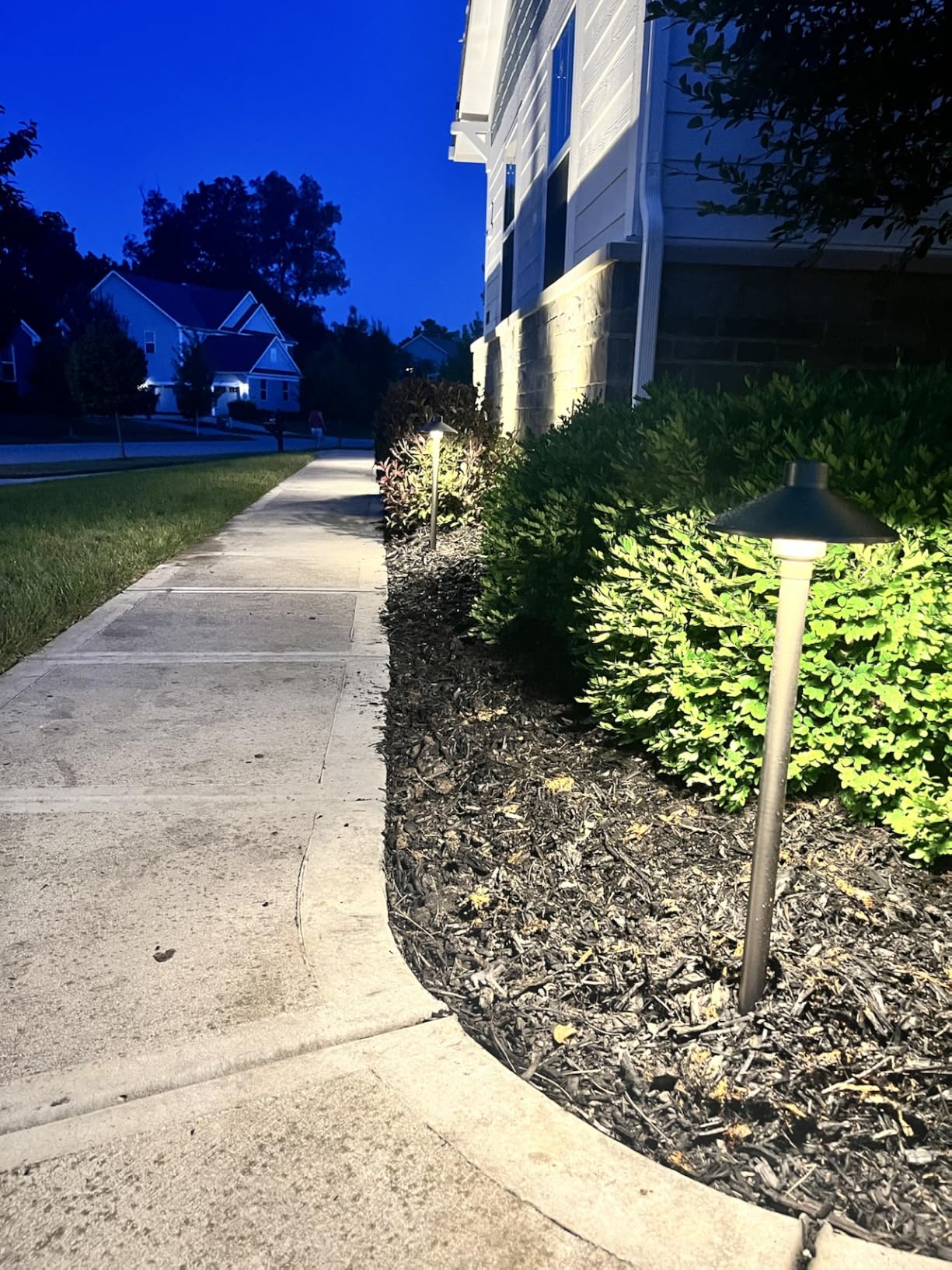 Gardencoin Solid Brass Low Voltage Pathway Lights (6.7