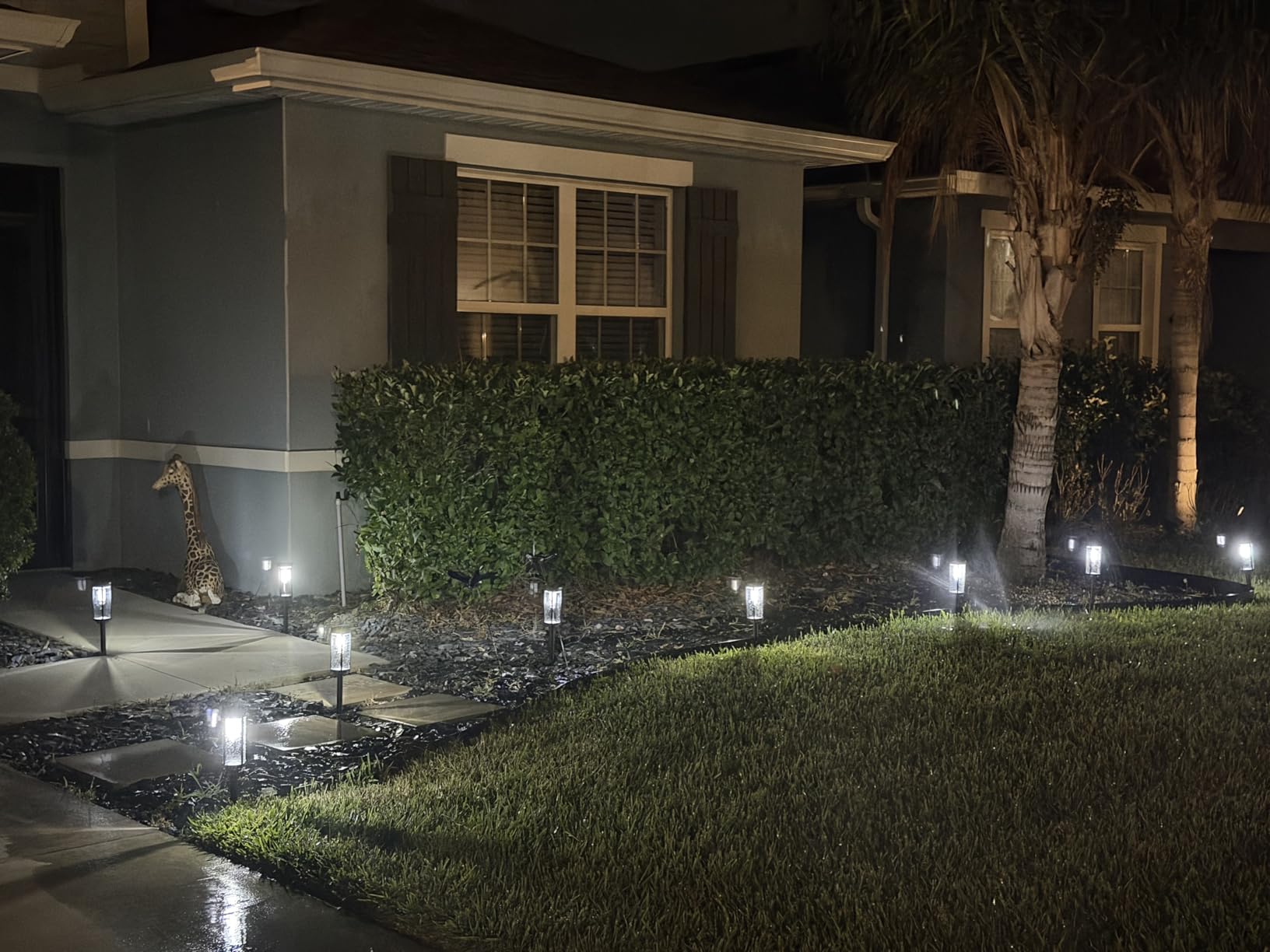 BITPOTT Bright Solar Pathway Lights Outdoor, 8 Pack Solar Garden Lights for Outside Waterproof IP65, Auto On/Off Outdoor Light for Yard Garden Lawn Walkway Driveway Landscape Lighting customer photo 1