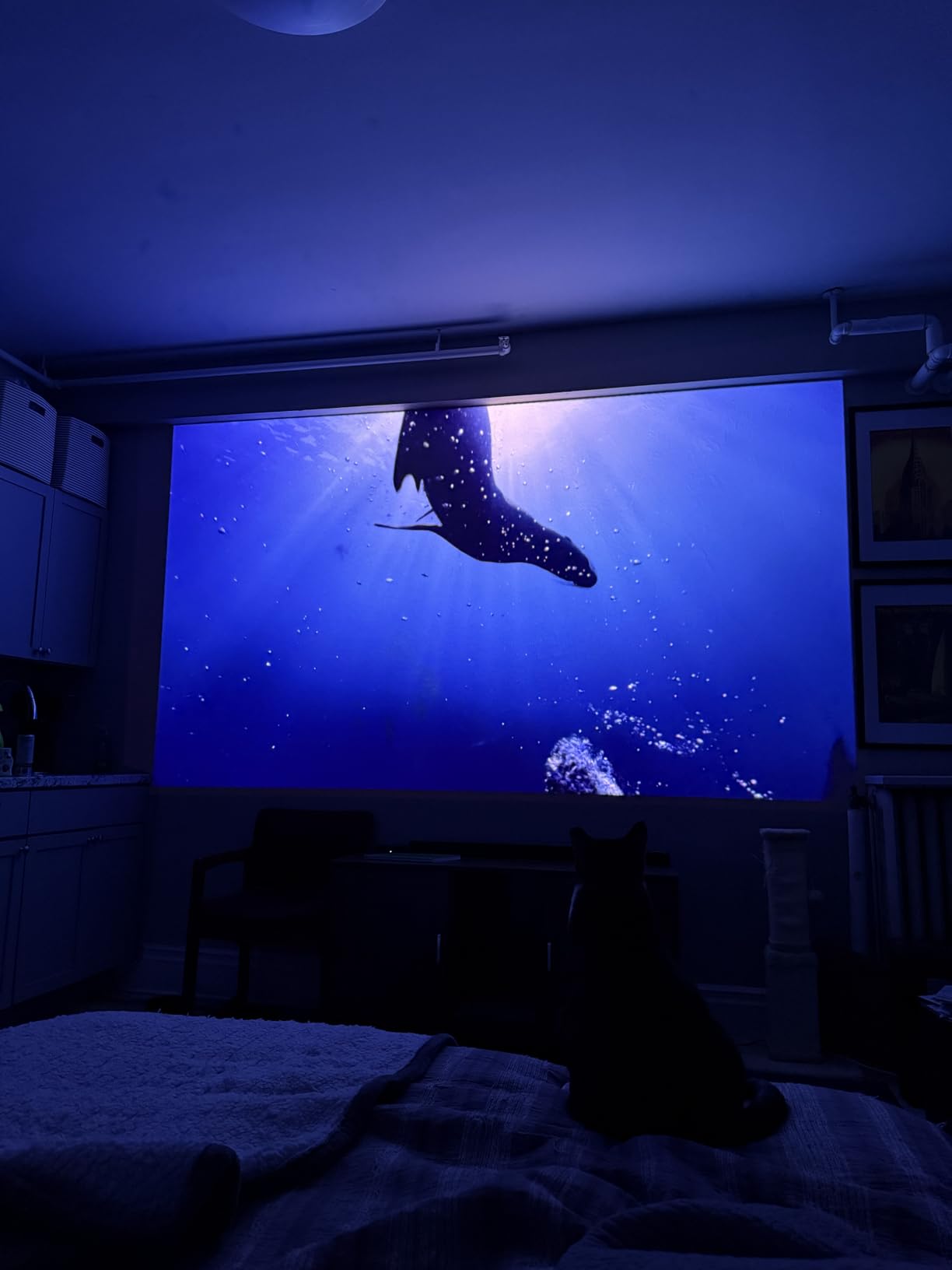 JMGO N1S Ultra 4K Triple Laser Projector with WiFi and Bluetooth, 2800 ISO Lumens, Google TV, 360° Sensorless Picture Correction, 300