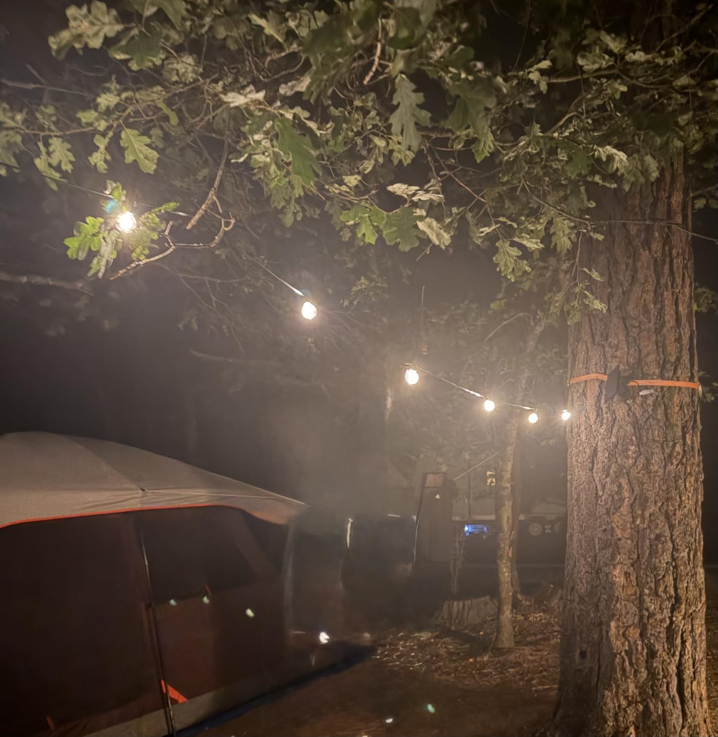 Larkvue 50FT(2x25FT) Solar String Lights Outdoor with Remote, Waterproof Dimmable 3 Modes Patio Lights with 20+2 LED G40 Bulbs for Cafe Bistro-Black customer photo 1