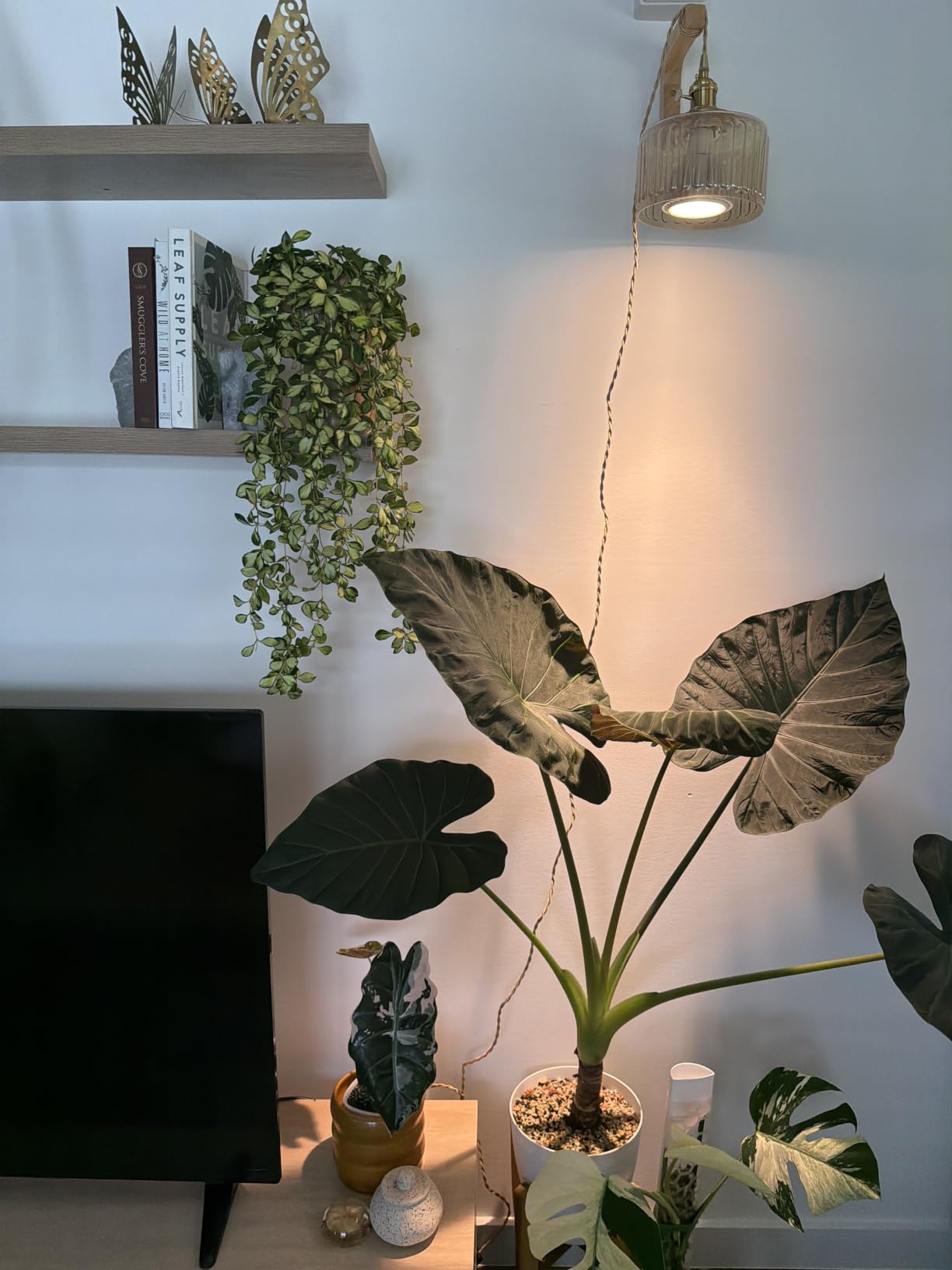 Plug in Pendant Light, Hanging Lights with Plug in Cord | Hanging Light Fixture with Green Glass, E26 Pendant Lighting for Kitchen Island, Bedroom, Dining Room, Living Room customer photo 1