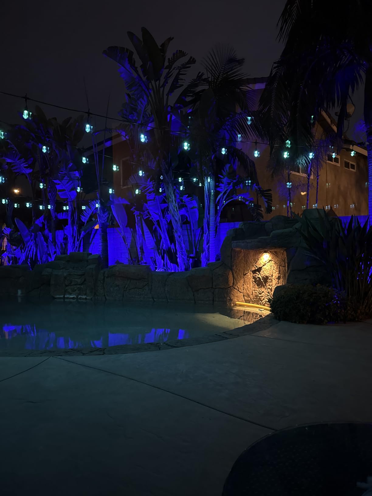 Enbrighten Vintage Outdoor String Lights, 48ft, 24 Bulbs, Smart | RGBWIC LEDs, Weatherproof, Shatterproof Acrylic Bulbs, Linkable up to 750ft, App Control, Works with Alexa & Google Home customer photo 1