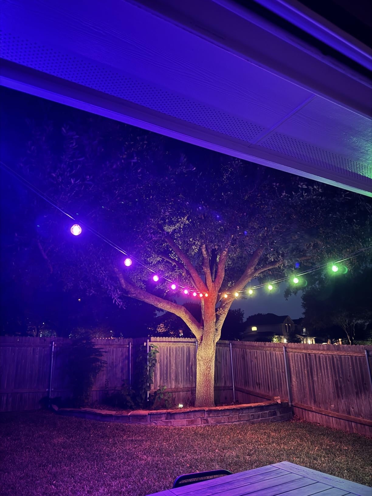 Philips Hue Festavia Globe Outdoor String Lights, White & Color Ambiance, 45ft, 16 Bulbs, Dimmable, Control with Hue App or Voice, Bridge Required customer photo 1