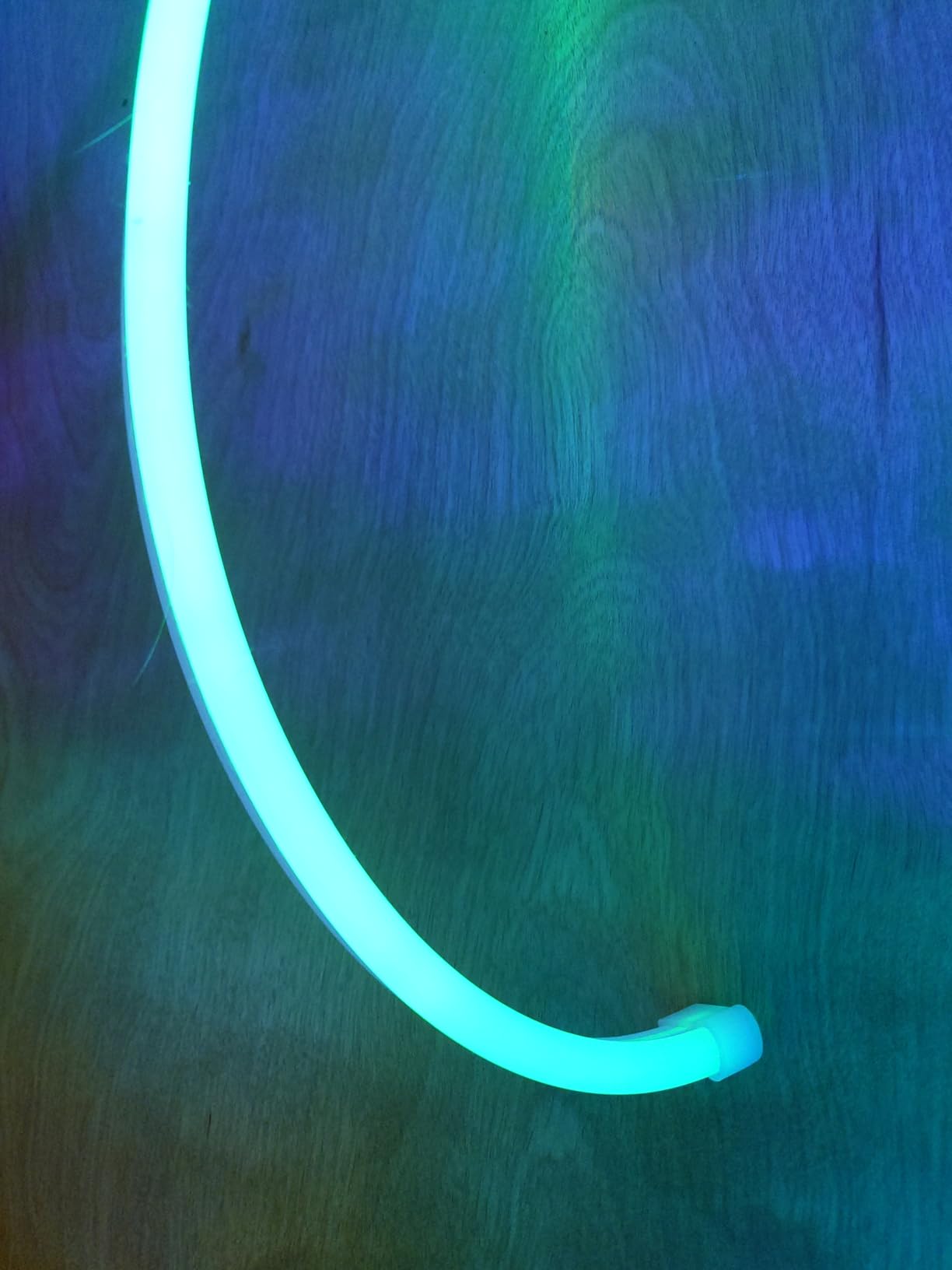 NEEWER 9.84ft/3m LED Strip Lights, Smart AI RGB IC Flexible Cuttable Neon Rope Light, App Control, Bedroom Gaming Room Indoor Studio Home Wall Decor, Compatible with Google Assistant Alexa, NS02 customer photo 1