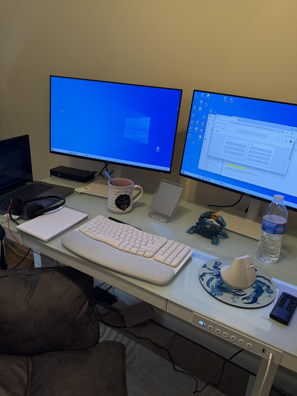 Dell 24 Plus Monitor - S2425HSM - 23.8-inch FHD 144Hz 1ms Display, Height/Tilt/Pivot/Swivel Adjustability, AMD FreeSync - Ash White customer photo 2