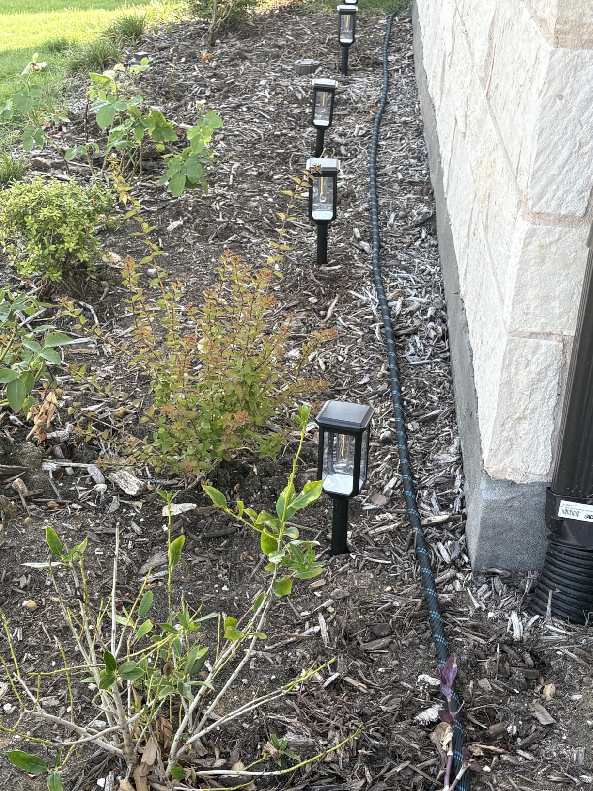 Tenmiro Solar Pathway Lights Outdoor 8 Pack LED Solar Powered Garden Lights Waterproof IP65 Auto On/Off Outdoor Light for Yard Lawn Patio Path Walkway Driveway Landscape Lighting Decor 3000K customer photo 1