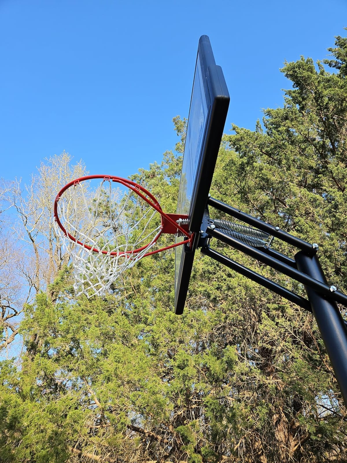 Lifetime 1084 Height Adjustable In Ground Basketball System, 50 Inch Shatterproof Backboard customer photo 1