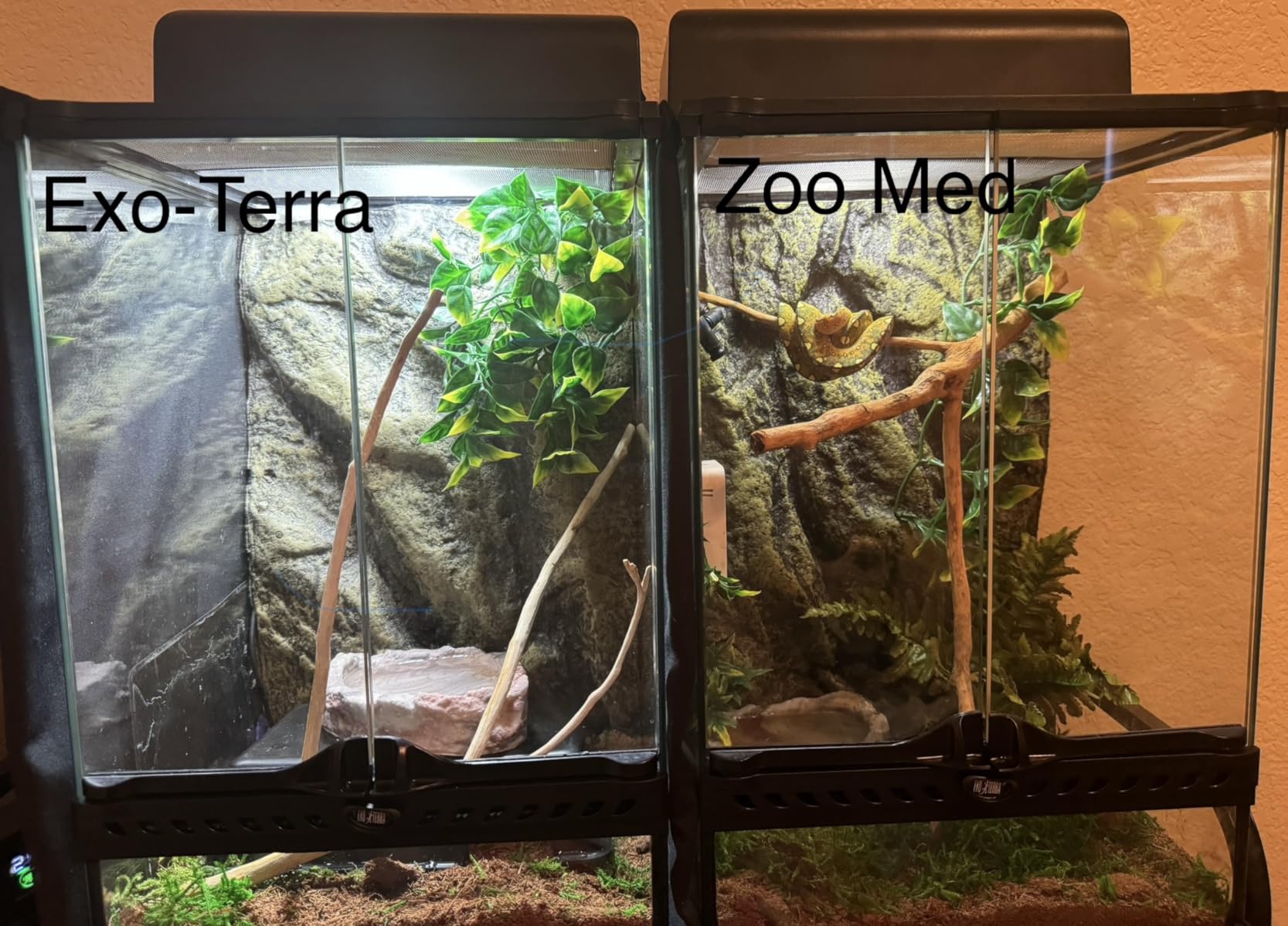 Exo Terra Repti-Glo 2.0 Compact Fluorescent Full Spectrum Terrarium Lamp, 13-Watt (Natural Light) customer photo 2