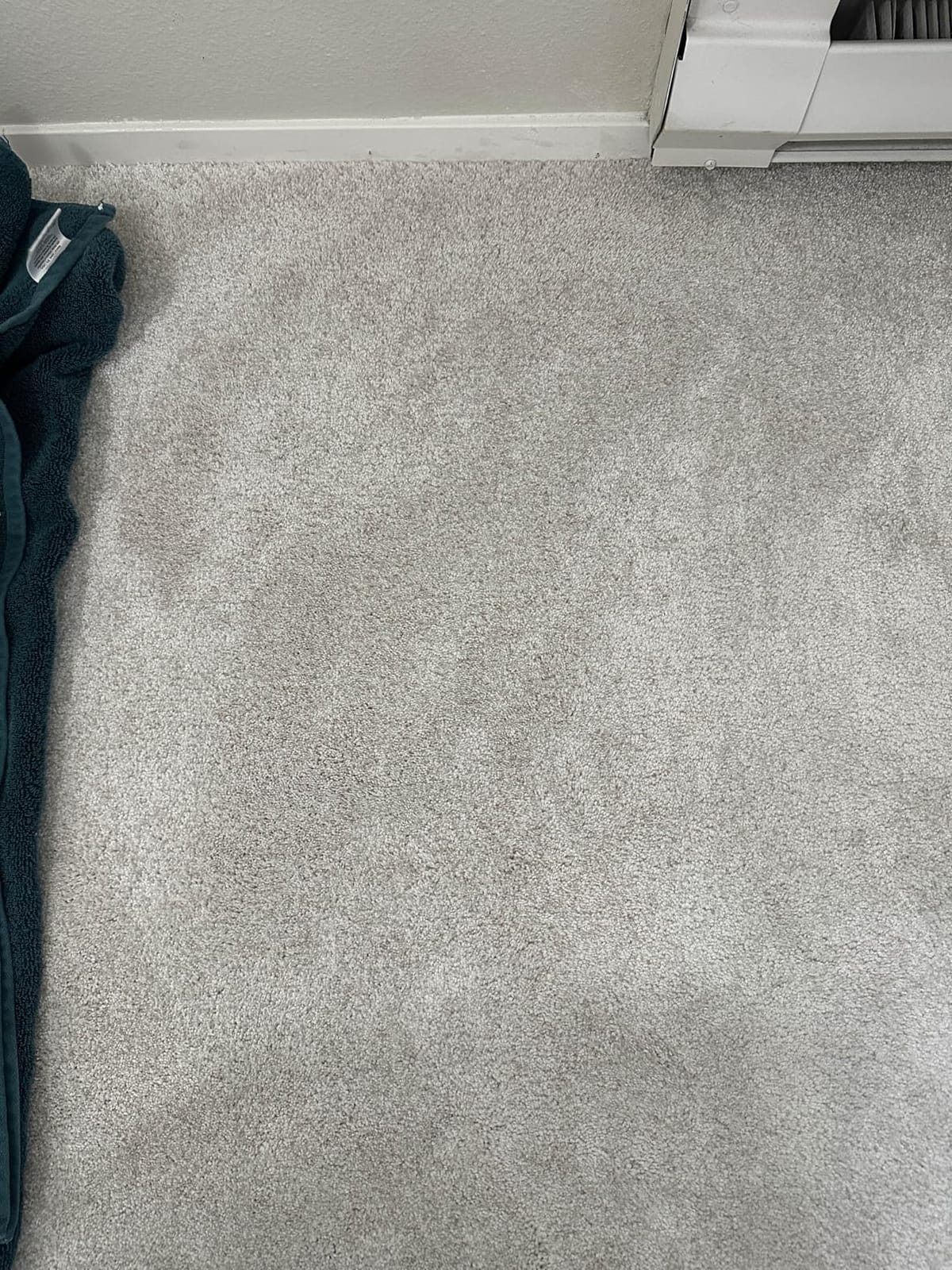FOLEX Professional Carpet Cleaner Spray 34 oz - Pet Stain Removal customer photo 1