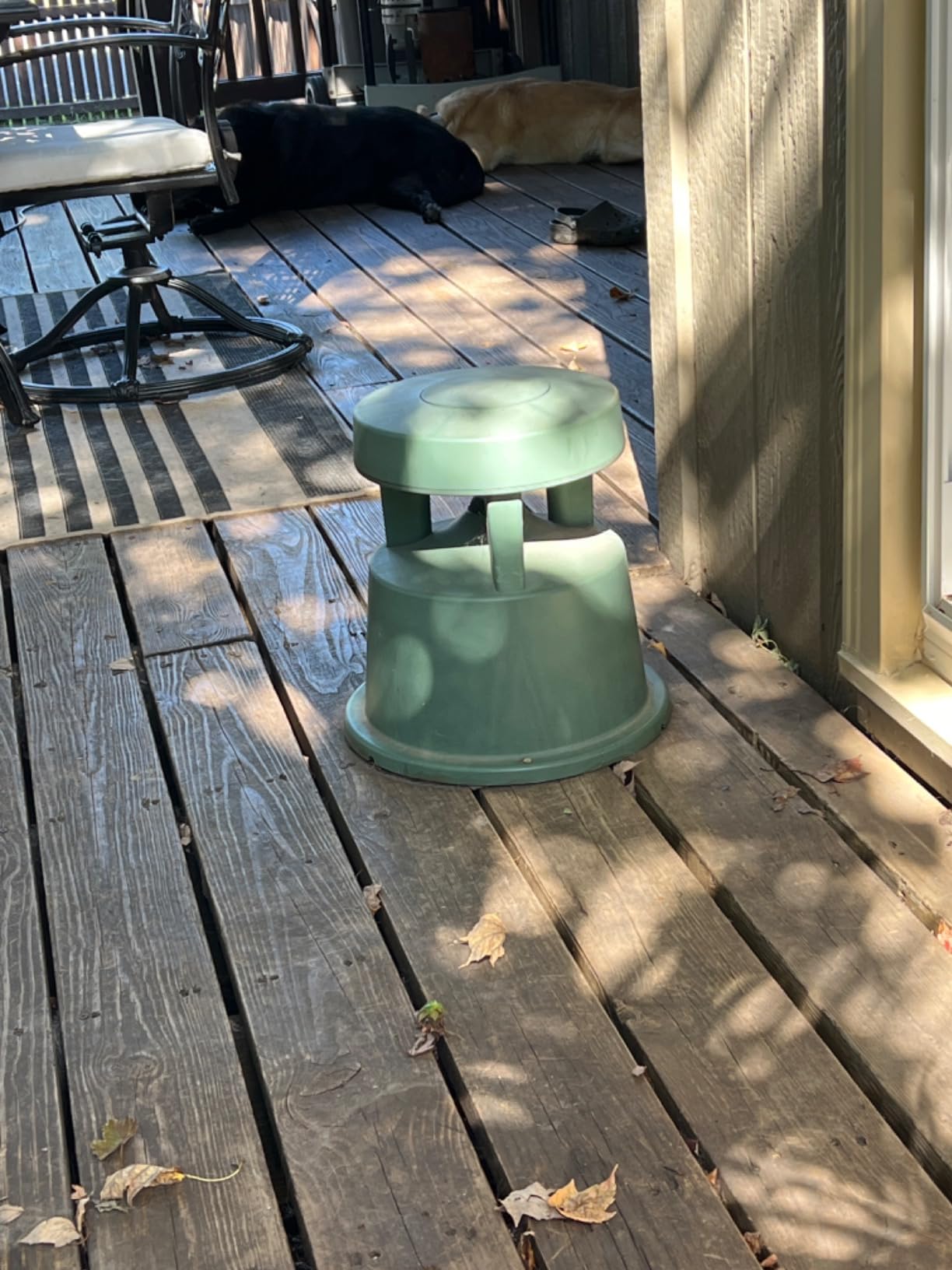 Bose Professional FreeSpace 360-P II In-Ground Landscape Speaker customer photo 2