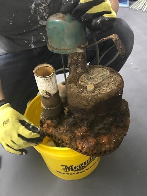 WAYNE CDU980E 3/4 HP Submersible Sump Pump - Cast Iron & Stainless Steel, Vertical Float Switch, 5,490 GPH, 5-Year Warranty customer photo 1