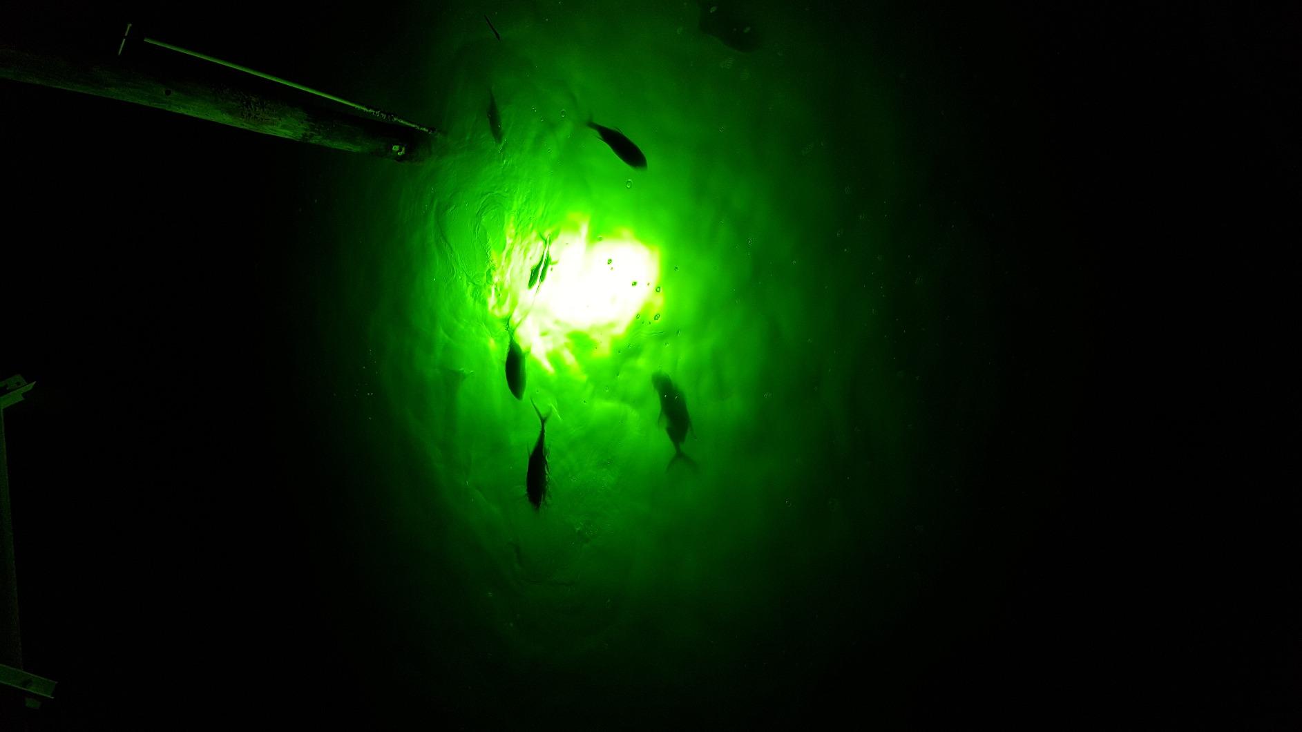 Green Underwater Dock Light - Brightest HID Submersible Light for Enhanced Fishing, Dock Illumination, Nighttime Safety, Easy Installation customer photo 2