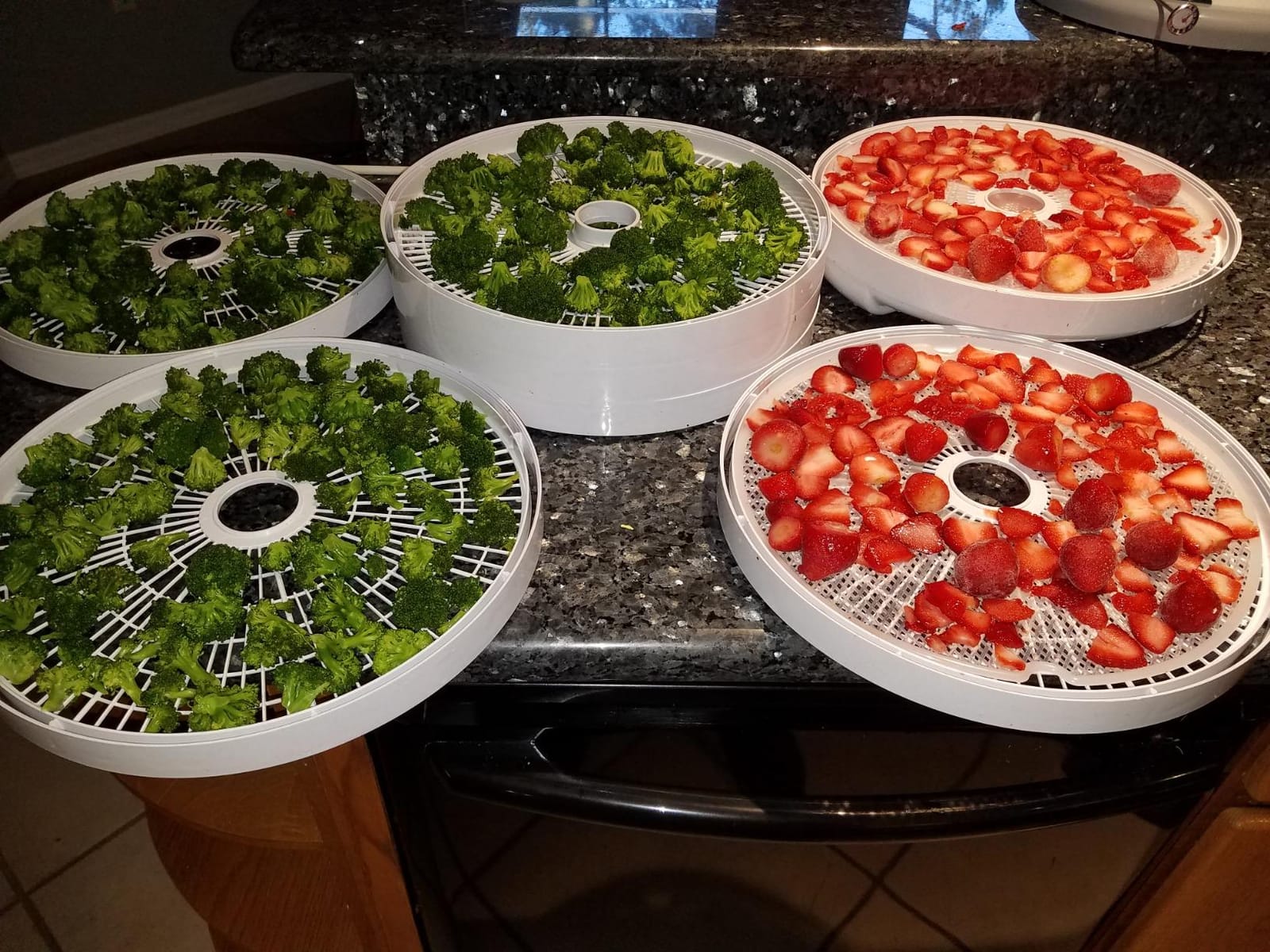 NESCO FD-75A Snackmaster Pro Food Dehydrator, For Snacks, Fruit, Beef Jerky, Gray customer photo 2