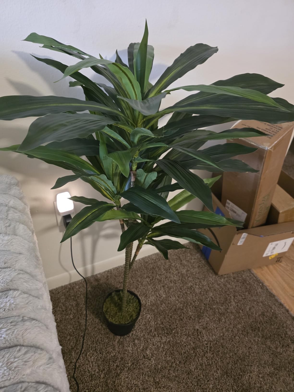 Nearly Natural 48 in Artificial Dracaena Real Touch Plant with Pot customer photo 1