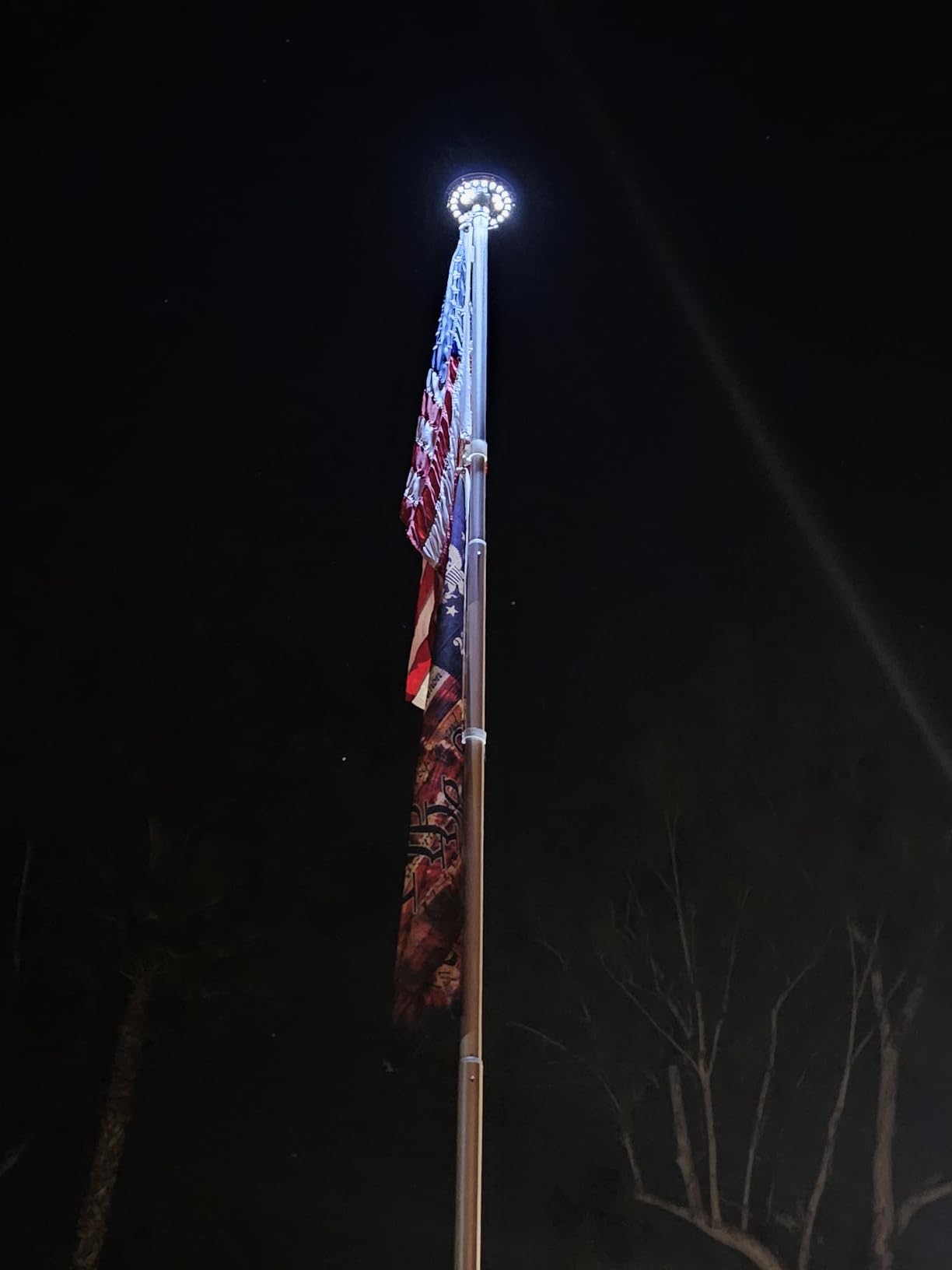 Deluxe Solar Powered Flagpole Light, Silver | Dusk to Dawn 12+ Hours, 26 LED, 1300 Lumen, Waterproof, 100% Coverage customer photo 1