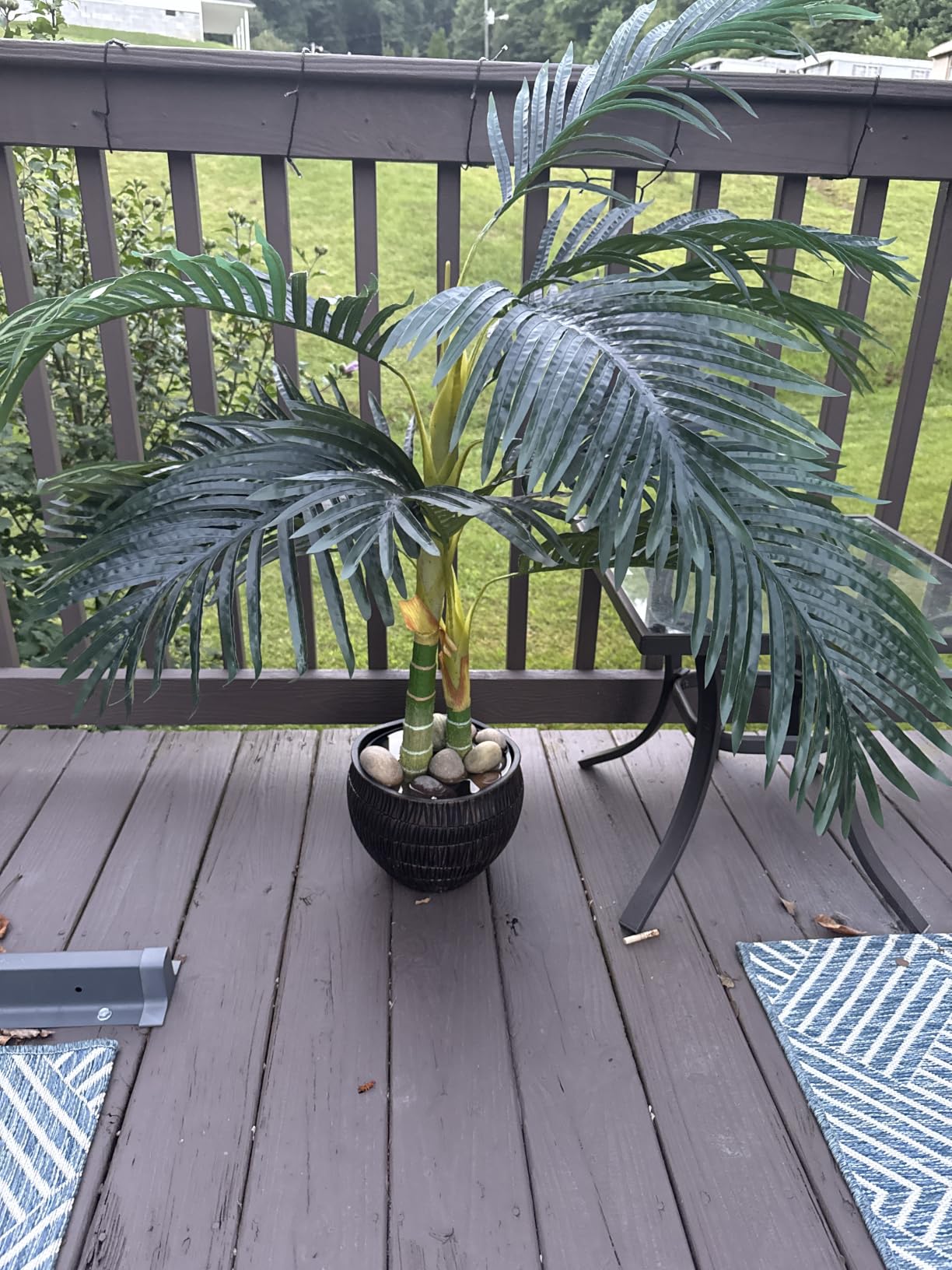 Nearly Natural 4 ft Artificial Golden Cane Palm Tree with Nursery Pot customer photo 1