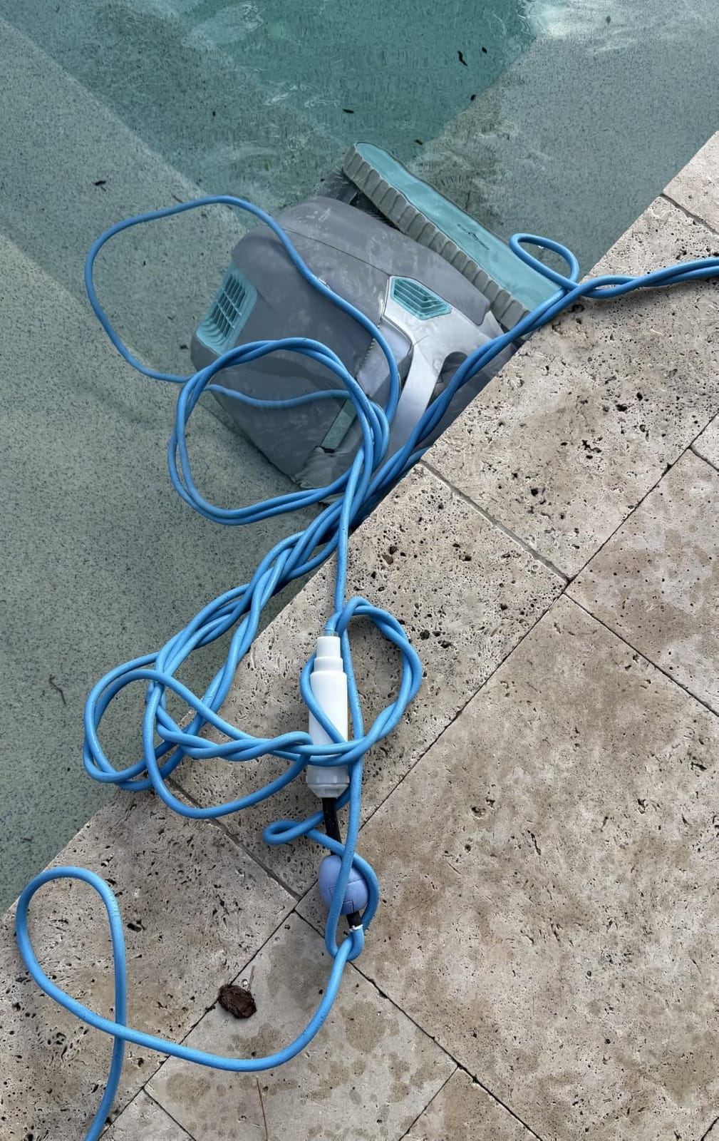 Dolphin Nautilus CC Plus Automatic Robotic Pool Vacuum Cleaner, Wall Climbing Scrubber Brush, Smart Navigation, Ideal for In-Ground Pools up to 40FT customer photo 2