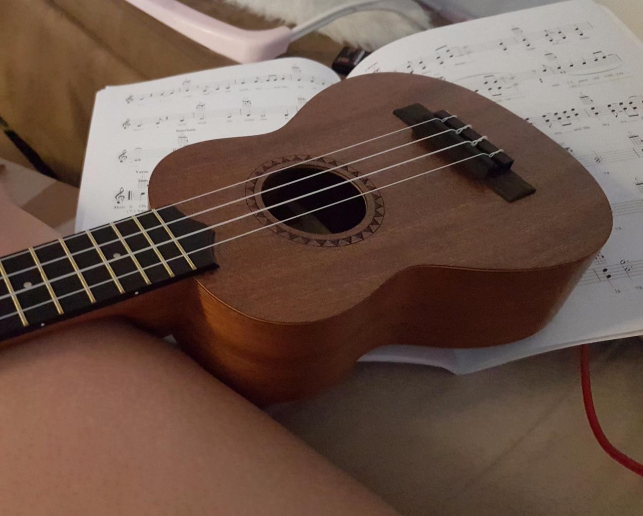 Kala LTP-S Learn-to-Play Mahogany Soprano Ukulele Starter Kit | Kit, Satin Mahogany, Includes online lessons, tuner app, and booklet (KALA-LTP-S) customer photo 1