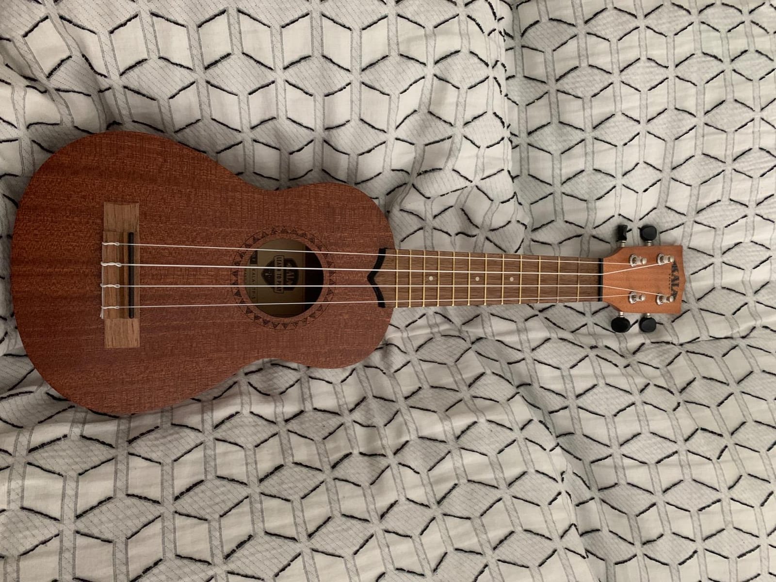 Kala LTP-S Learn-to-Play Mahogany Soprano Ukulele Starter Kit | Kit, Satin Mahogany, Includes online lessons, tuner app, and booklet (KALA-LTP-S) customer photo 2