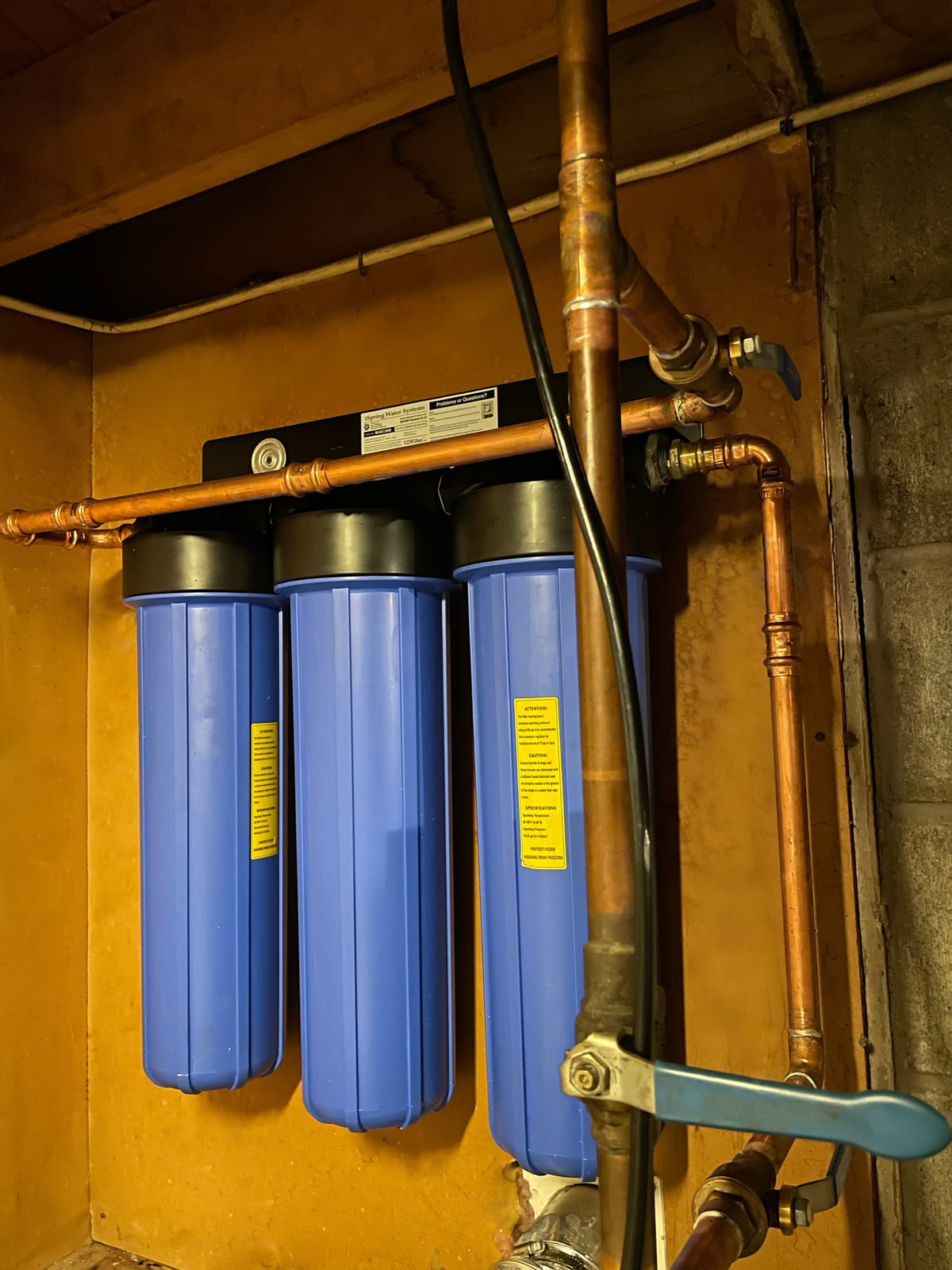 iSpring Whole House Water Filter System, Reduces Iron, Manganese, Chlorine, Sediment, Taste, and Odor, 3-Stage Iron Filter Whole House, Model: WGB32BM customer photo 1