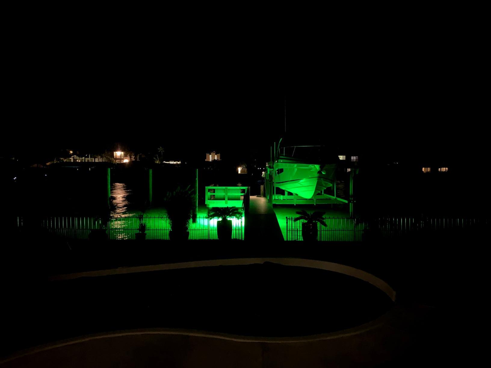 Saltwater Approved Barnacle Burner Underwater Fish Light, 250 Watt Extreme Brilliant Green 21,000 Lumens Single Dock Light 50' Marine Grade Lamp Cable, Automatic Dusk to Dawn, Easy Self Installation customer photo 1