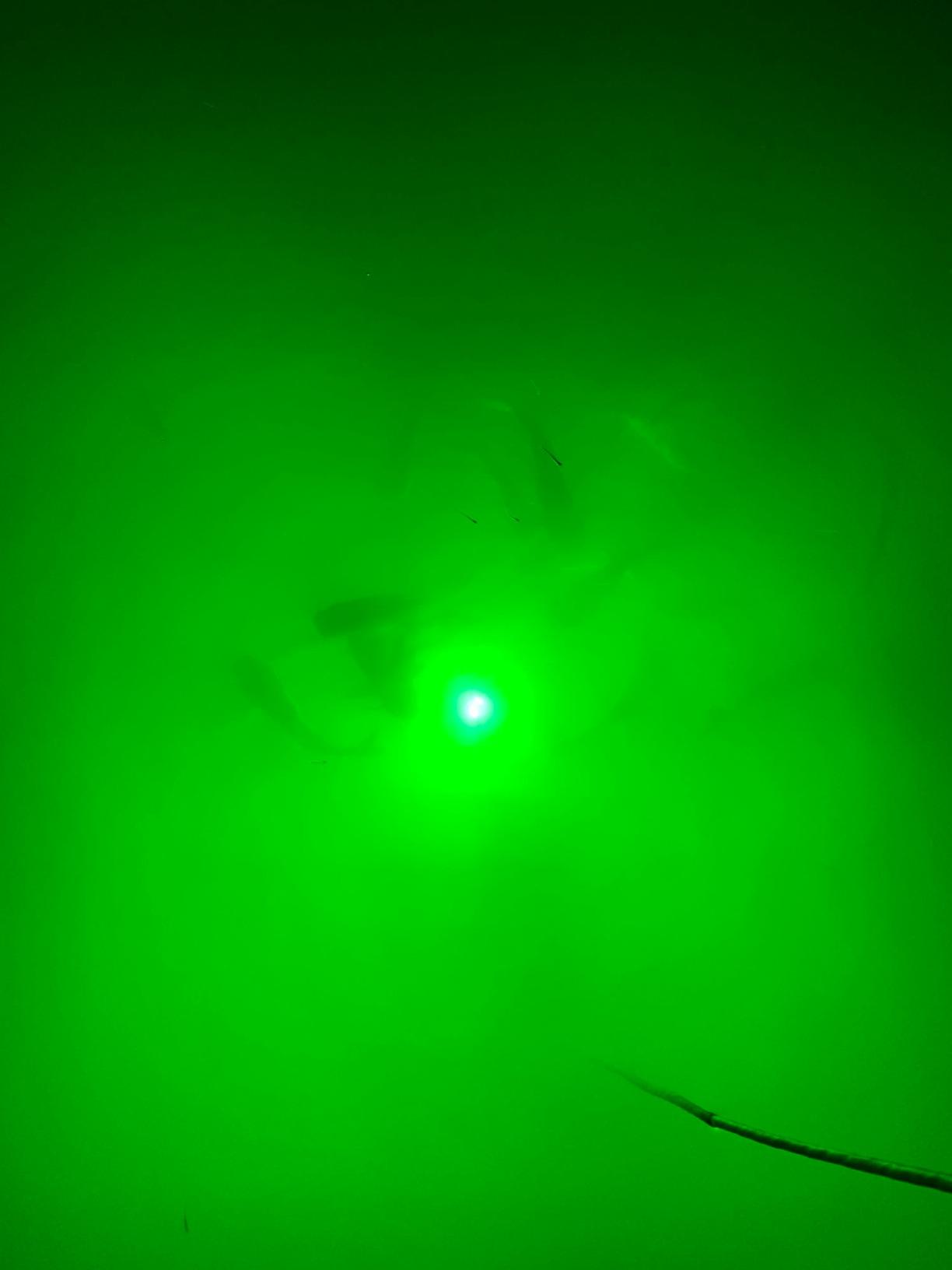 Saltwater Approved Barnacle Burner Underwater Fish Light, 250 Watt Extreme Brilliant Green 21,000 Lumens Single Dock Light 50' Marine Grade Lamp Cable, Automatic Dusk to Dawn, Easy Self Installation customer photo 2