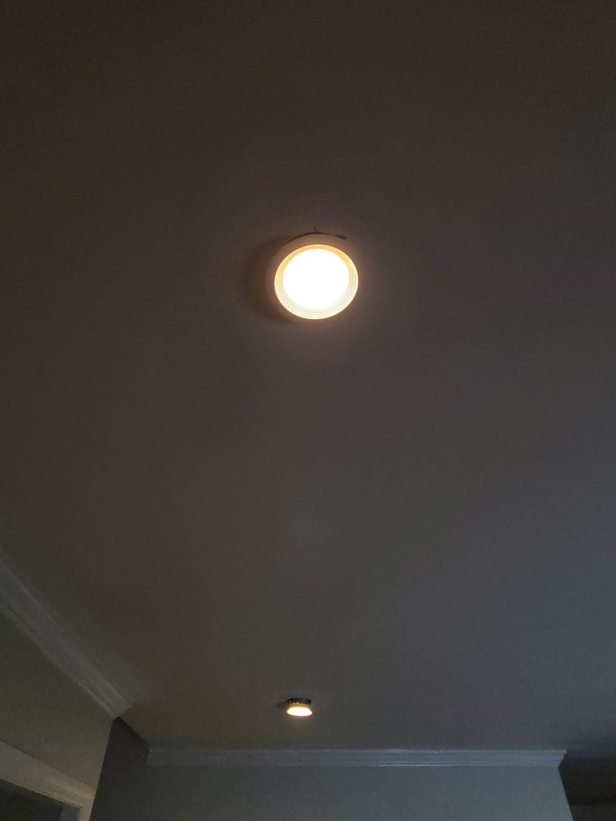 Leviton Decora Smart 600W Dimmer with Z-Wave Technology, Ivory, 1-Pack, DZ6HD-1BZ, White/Light Almond customer photo 1