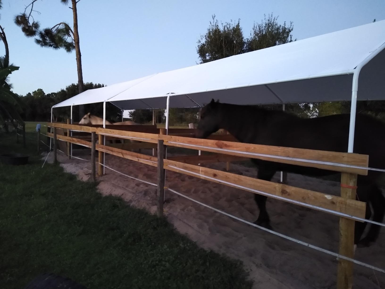 Quictent 10x20 ft Heavy Duty Carport Canopy Galvanized Car Tent Outdoor Garage Boat Shelter with Reinforced Structure, No Sidewall - White customer photo 2