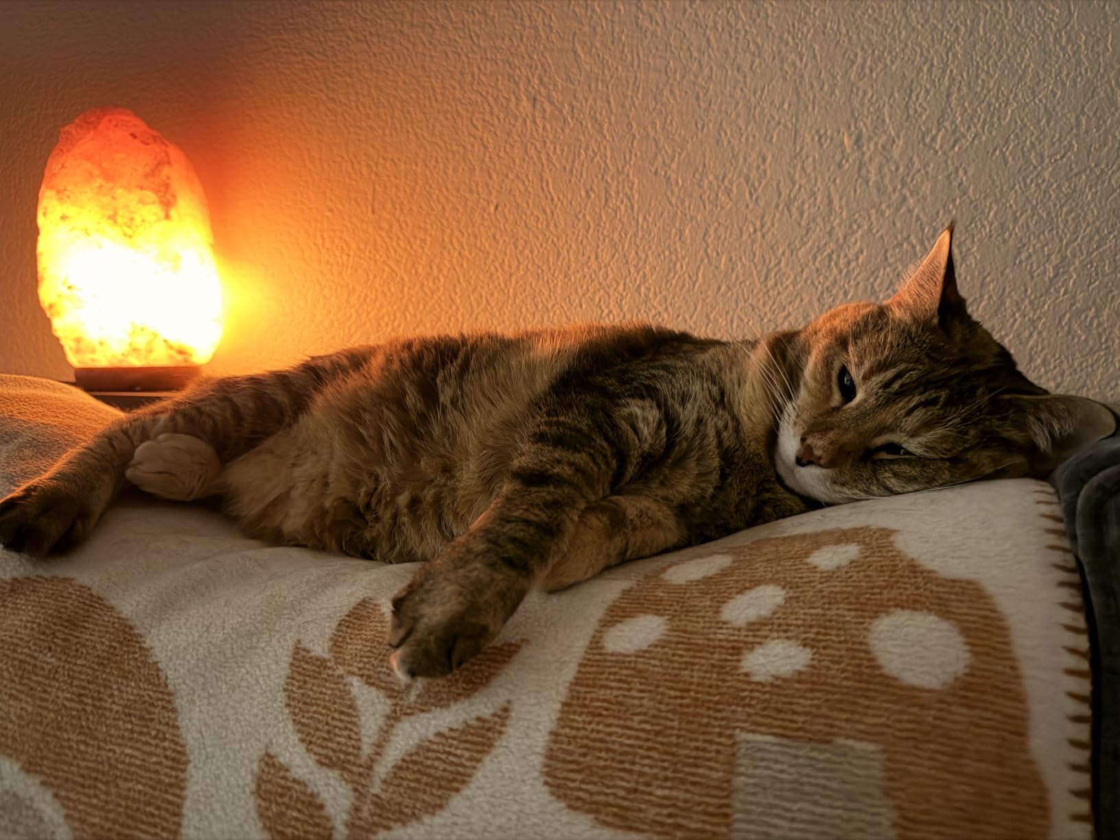 Himalayan Salt Lamp for Bedroom Large 10-12 Inch Pink Salt Rock Lamp with Dimmer, Wooden Base & Spare Bulbs customer photo 1