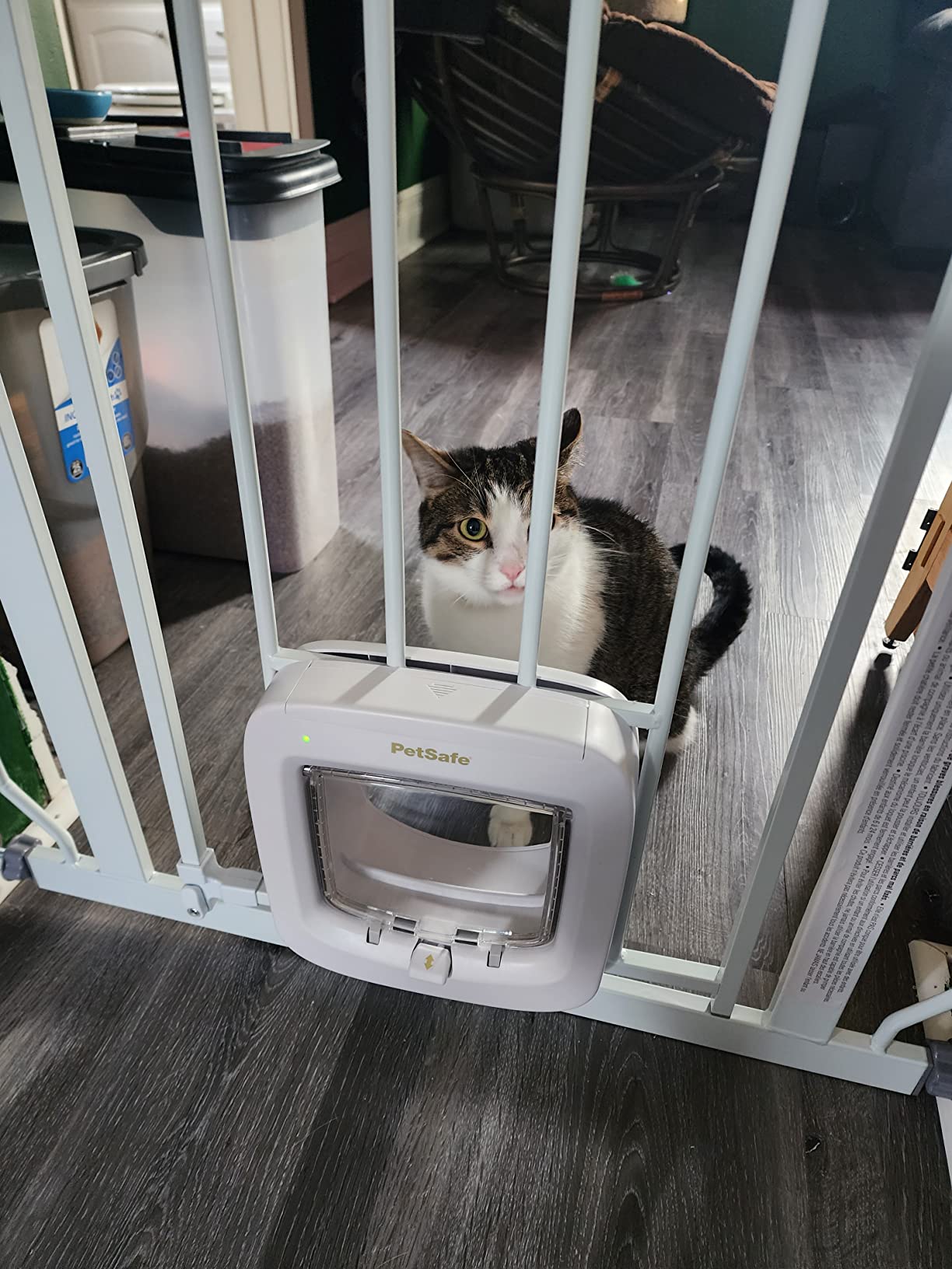 PetSafe Microchip Cat Door, Exterior or Interior Pet Door - Multi-User RFID Access Up to 40 Pets, 4-Way Locking, Weatherproof, DIY Easy Install, Hardware Kit; Privacy for Cat Litter Box or Pet Feeder customer photo 2