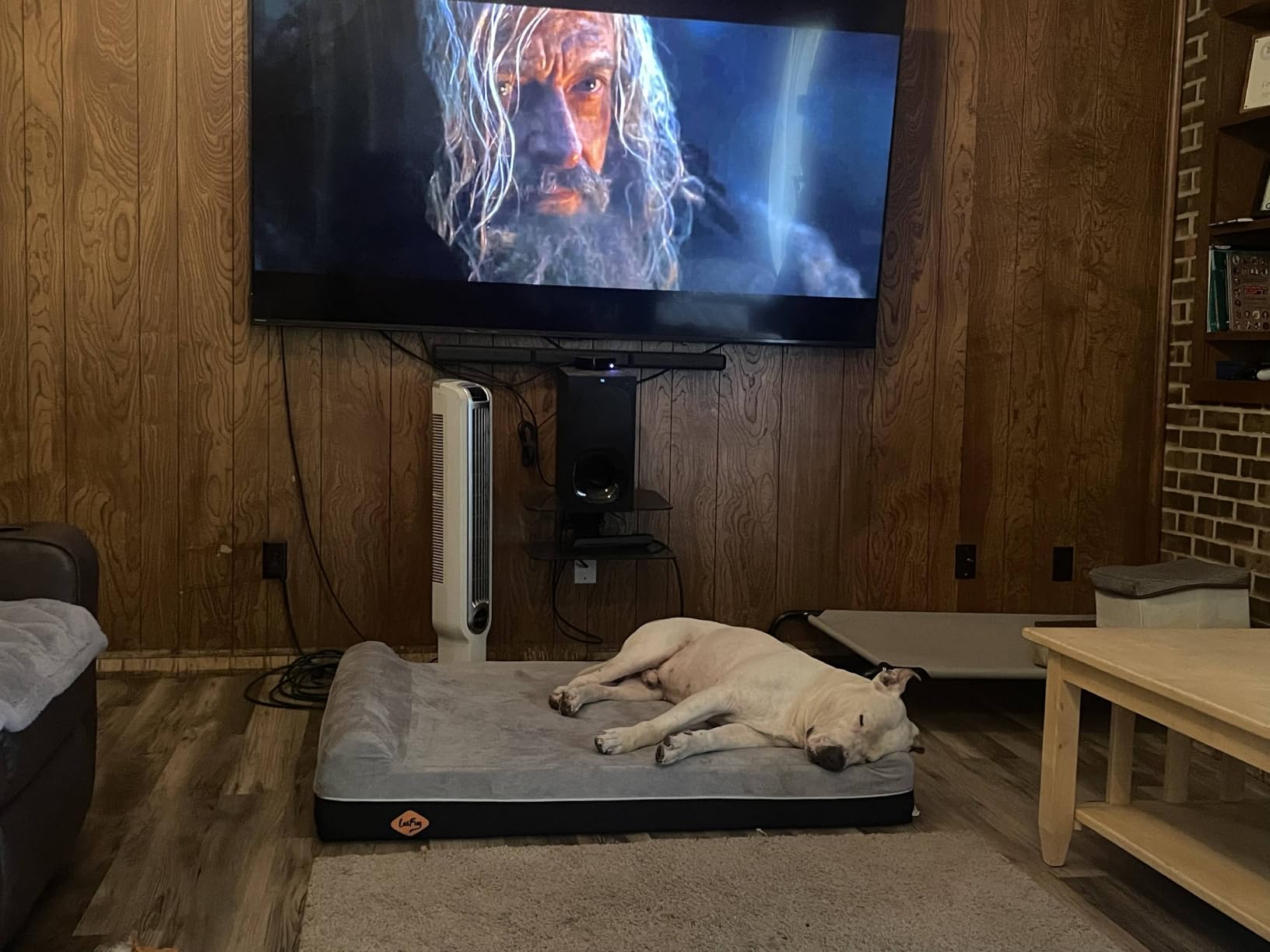 Laifug Orthopedic Dog Bed, Slate Grey 50''x36''x10'', Memory Foam customer photo 2