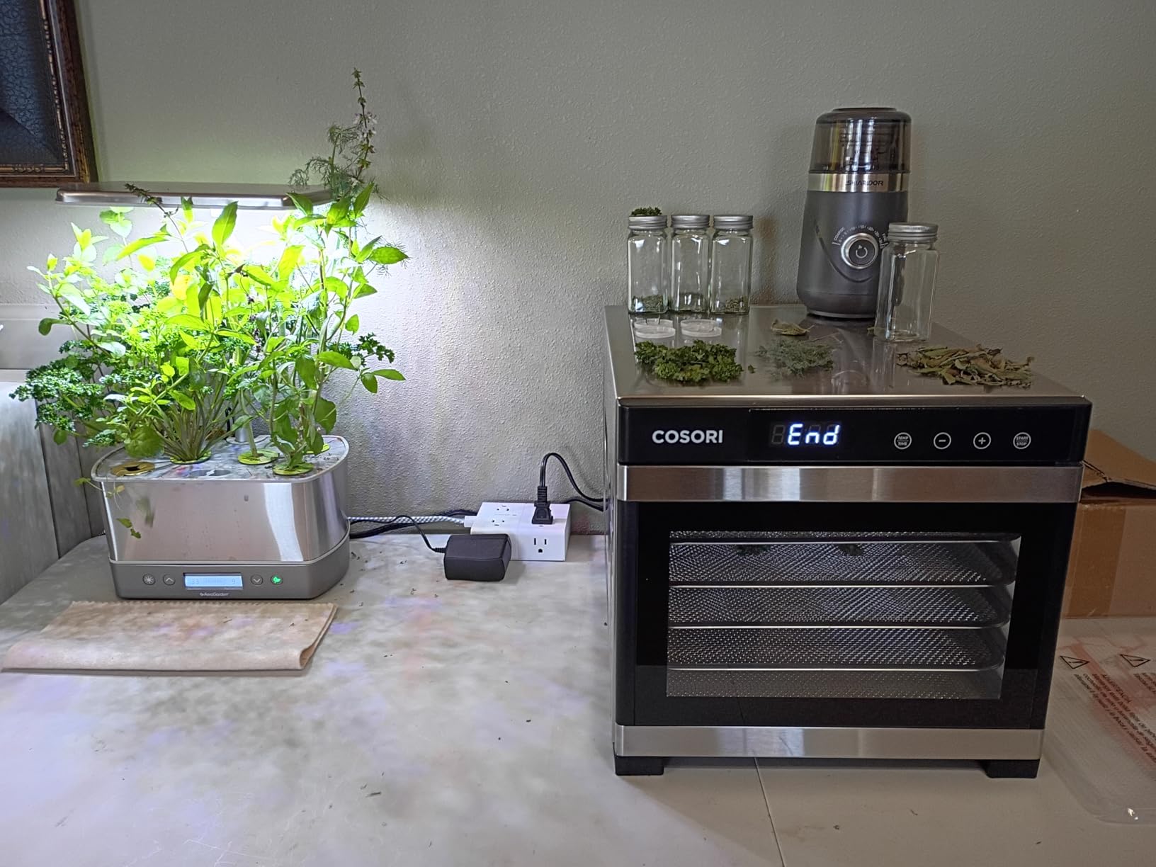 Cosori Food Dehydrator, 6 Stainless Steel Trays with 6.5 ft² Drying Space customer photo 1