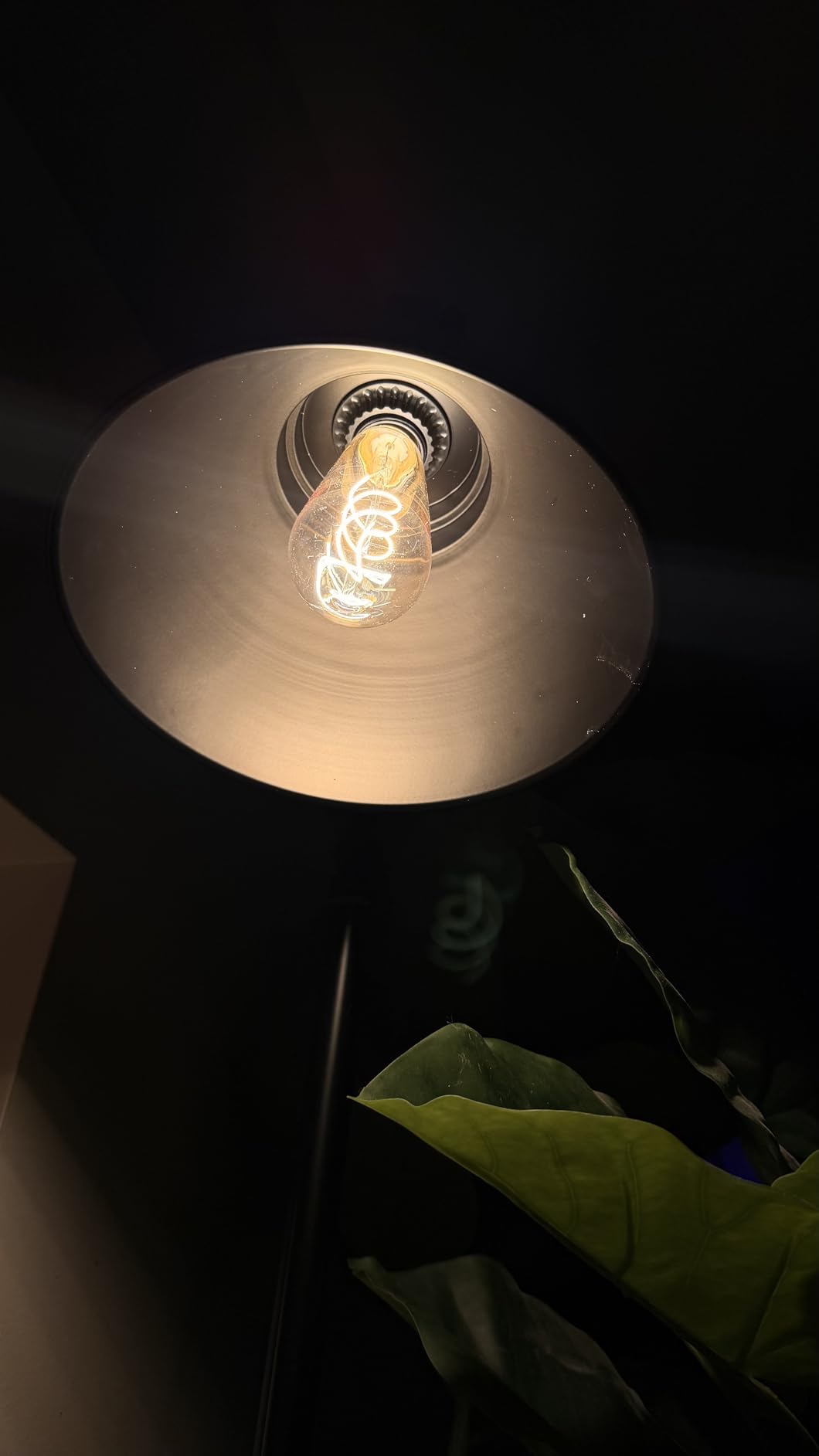 VONLUCE Floor Lamp for Living Room, 65