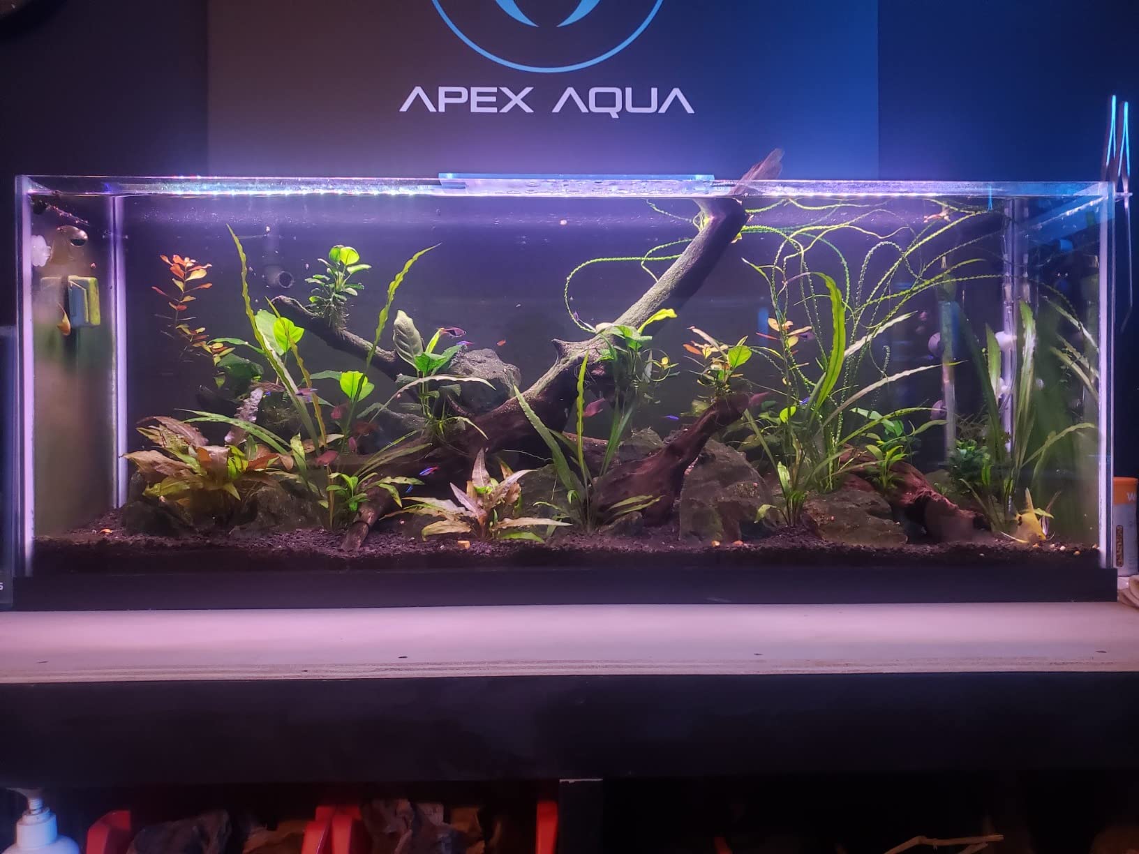 Finnex Planted Plus True 24/7 + HLC Aquarium LED Light, Automated Full Spectrum Fish Tank Light, True 660nm Deep Red Plant LEDs, 48 Inch (HLC-48) customer photo 1